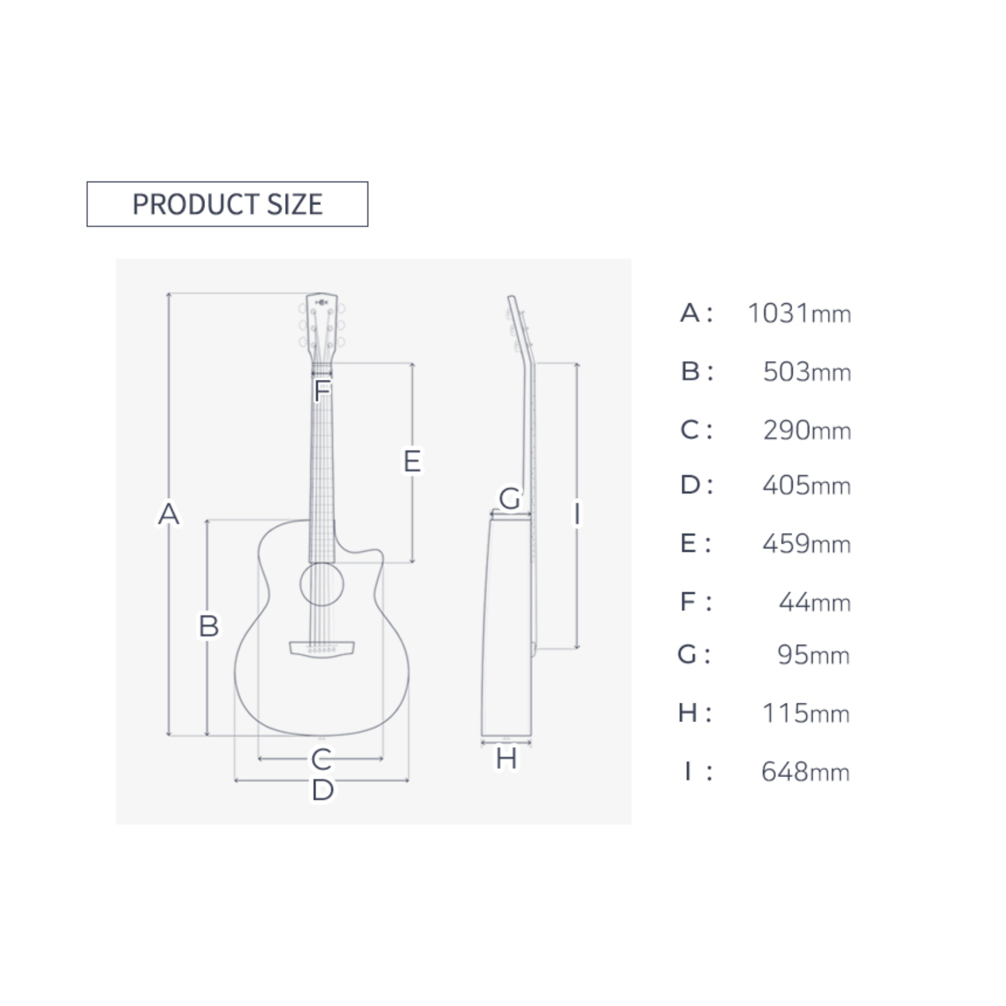 GA400CEG -HORNET SERIES WITH FISHMAN SONITONE