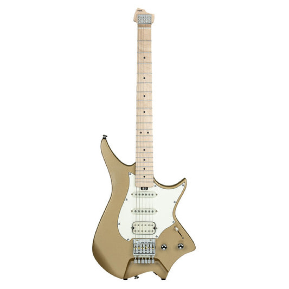 Image of Hex Guitars NS100 S/SS