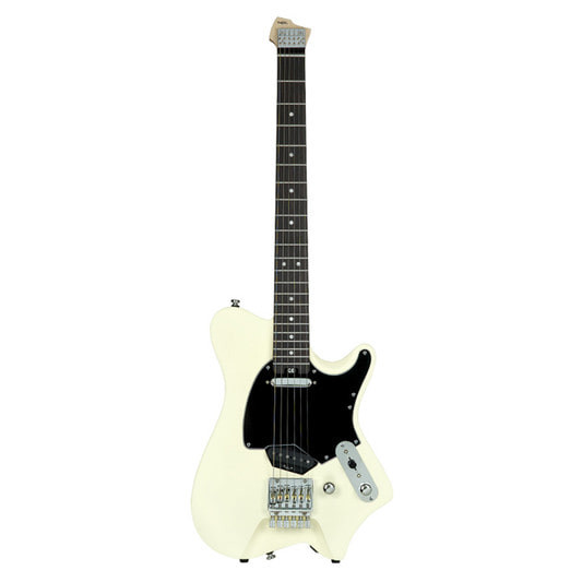 Hex Guitars NT100 SIV