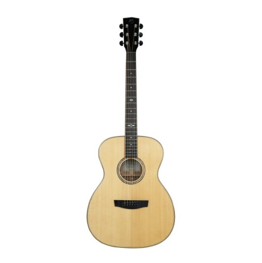 Hex Guitars VF500E
