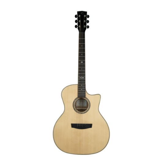 Hex Guitars VG500E