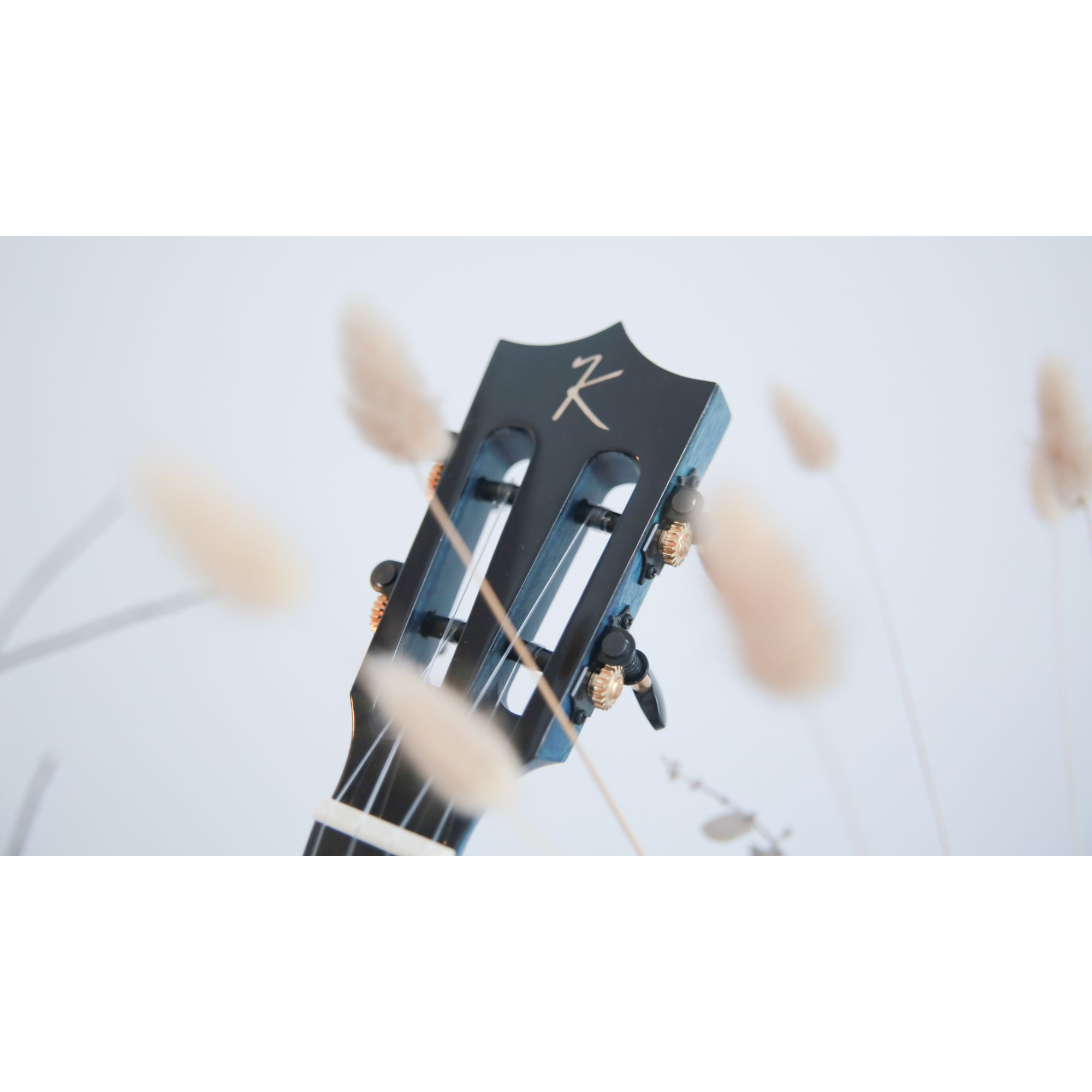 Enya EUC MAD EQ Concert Solid Mahogany Ukulele - Blue