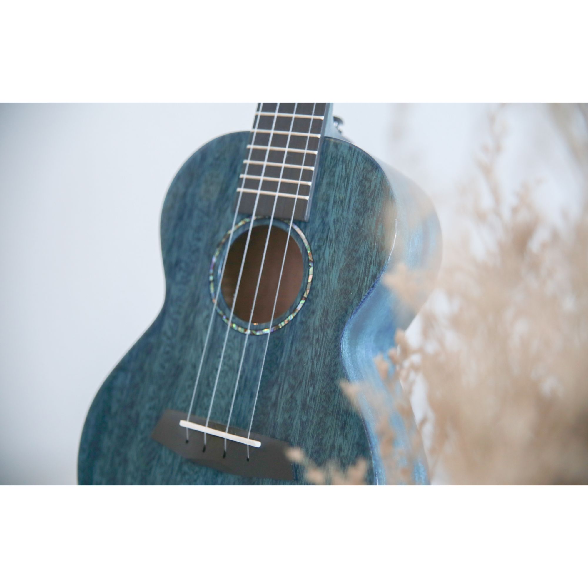 Enya EUC MAD EQ Concert Solid Mahogany Ukulele - Blue
