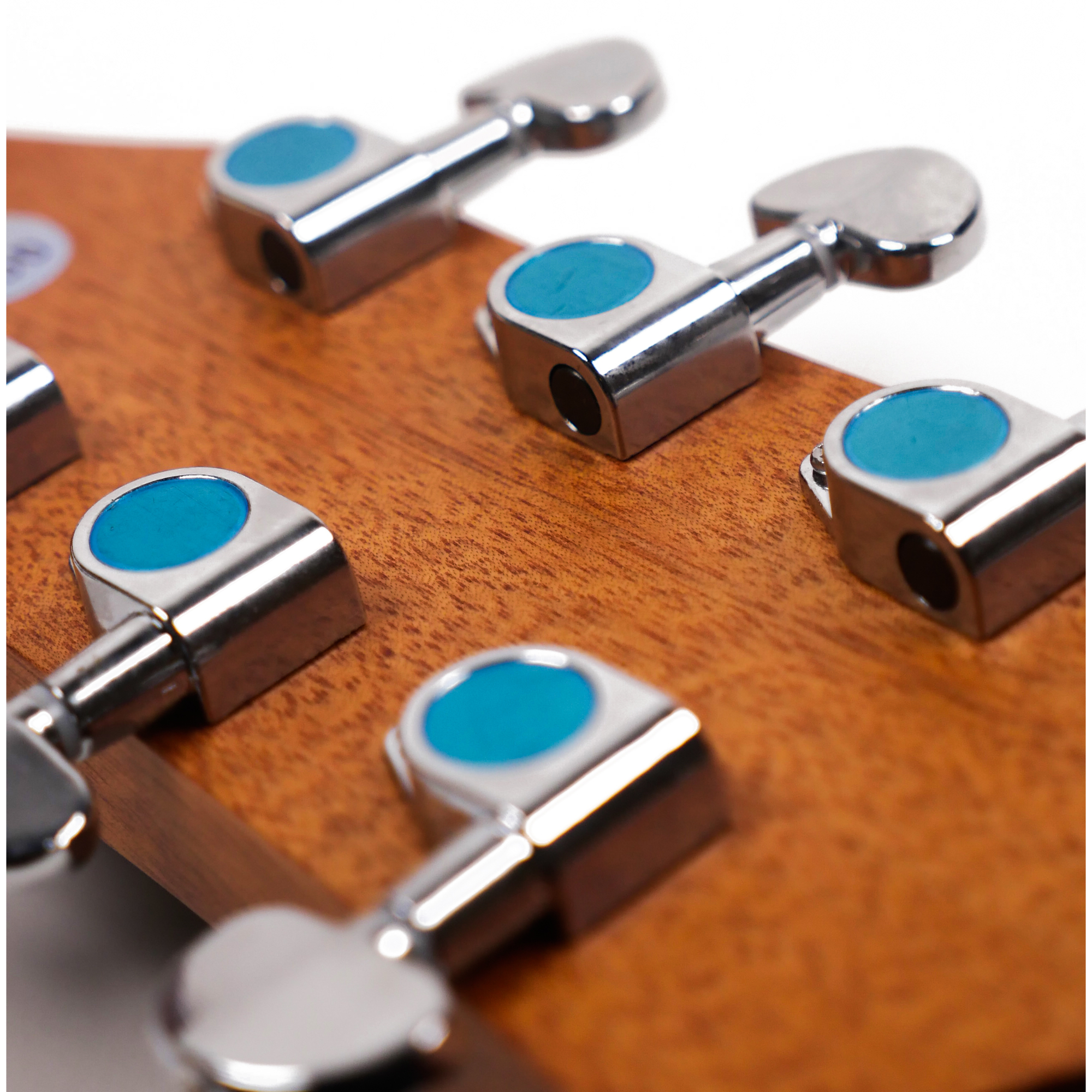 Richtone RT339C All Sapele Acoustic guitar - Natural