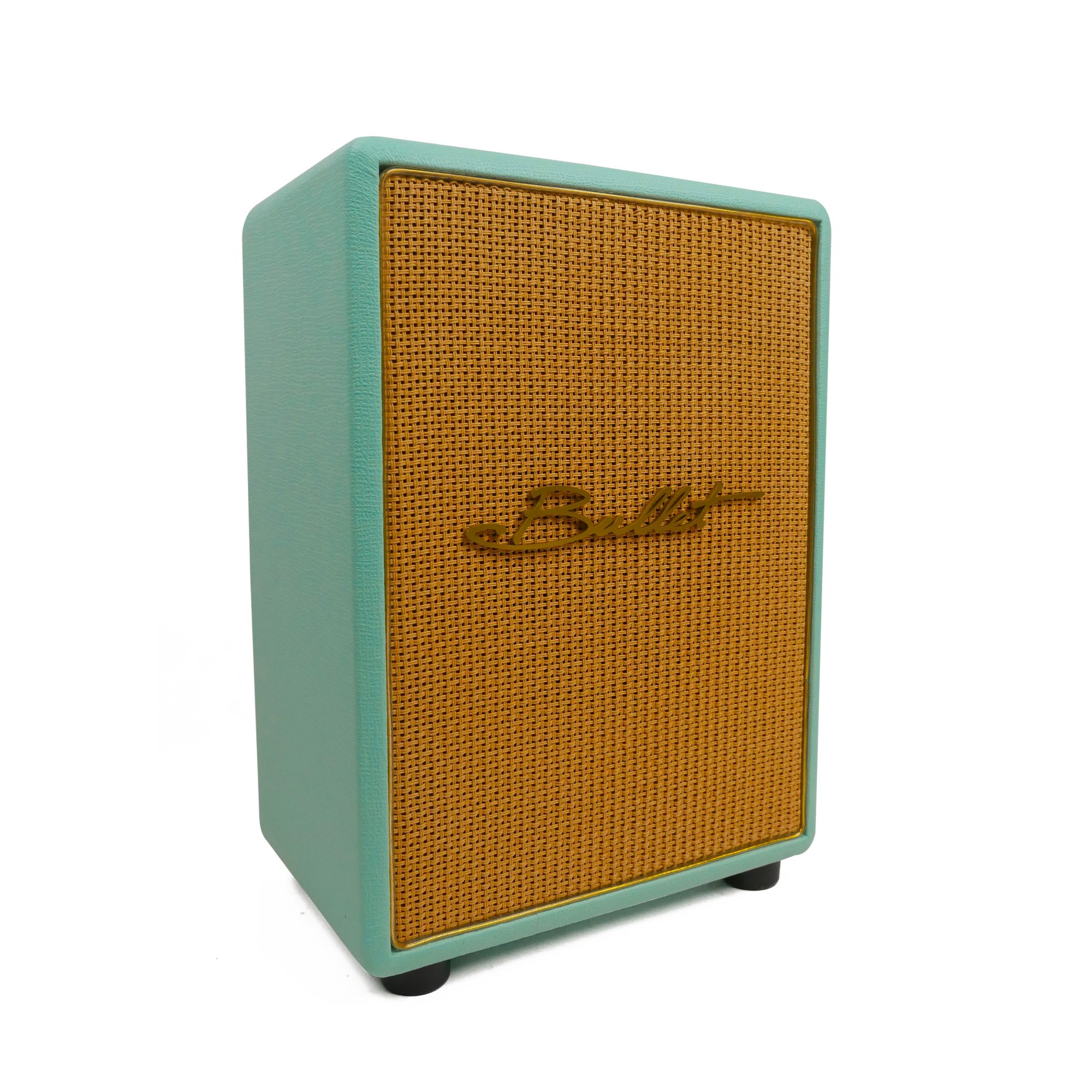 Bullet Blackface1 Tube amp 20watt with 8inch celestion speaker