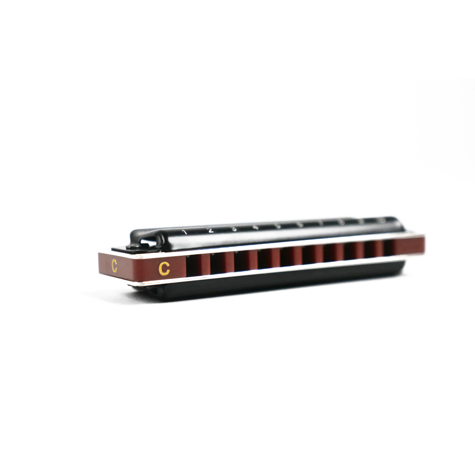 East top T008K Diatonic Blues Mouth Organ Harmonica Key of C