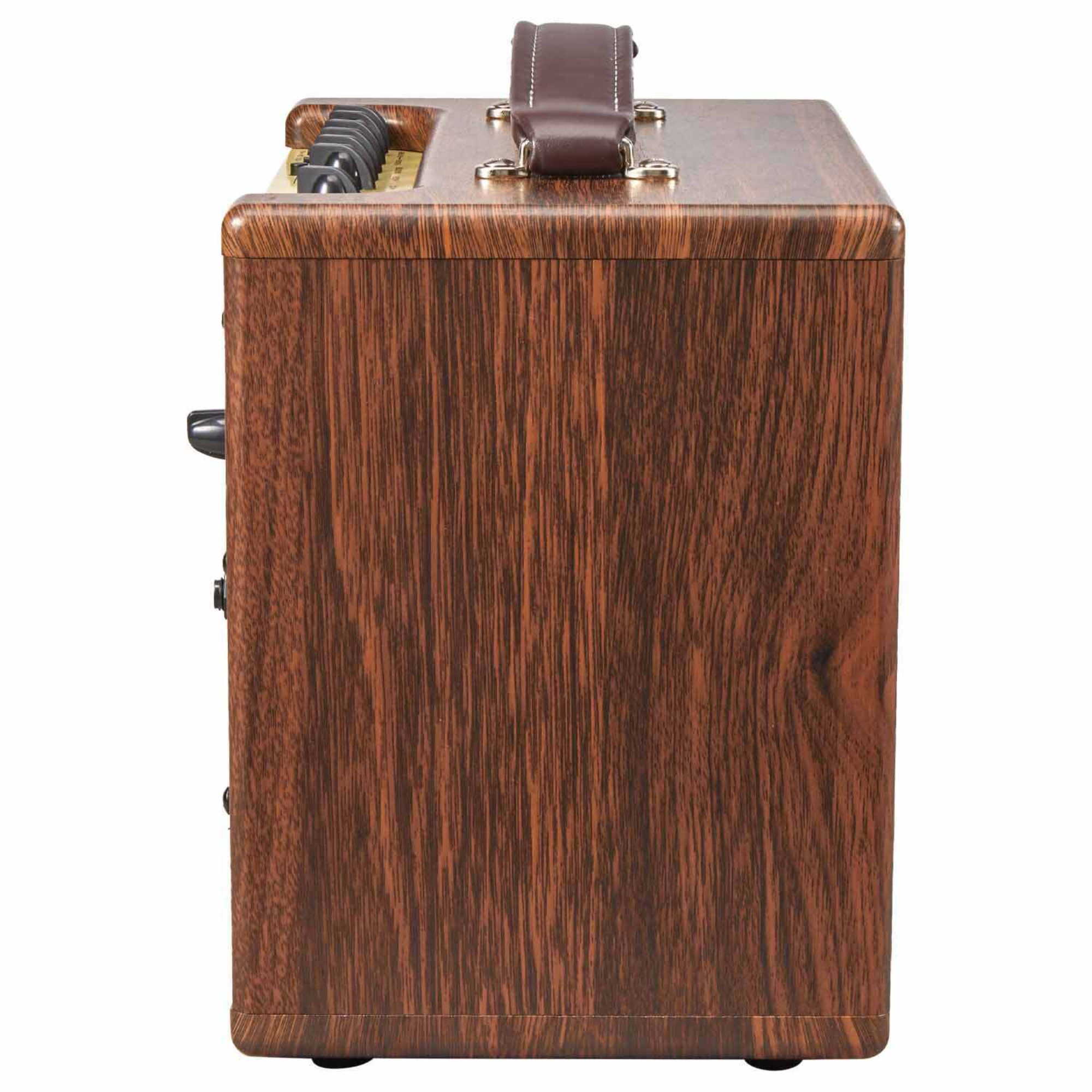 AGA GA5P 45W RECHARGEABLE ACOUSTIC AMP W BLUETOOTH