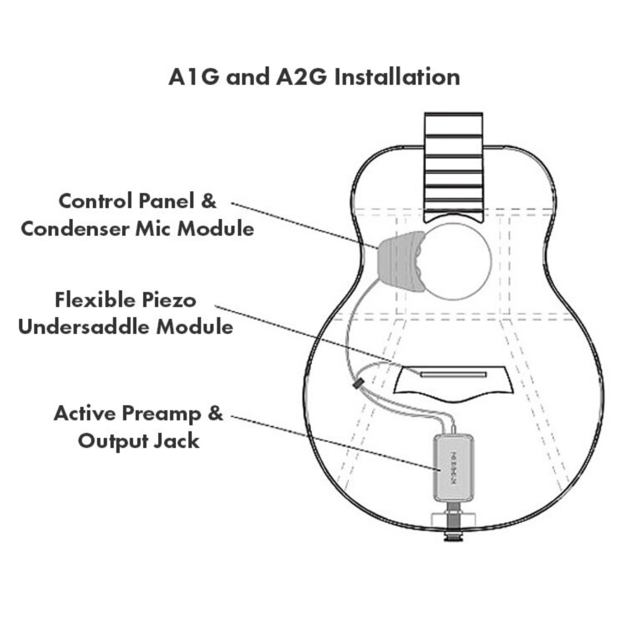 Active Acoustic pick up Double A2G with condenser mic blend