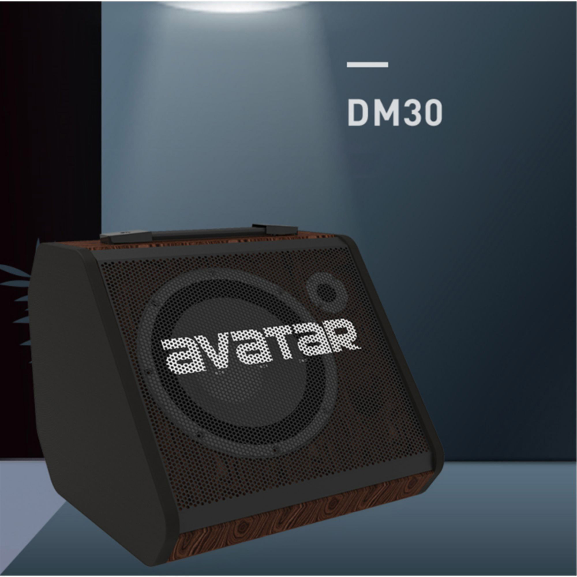AVATAR DM30 DIGITAL DRUM MONITOR 30WATTS