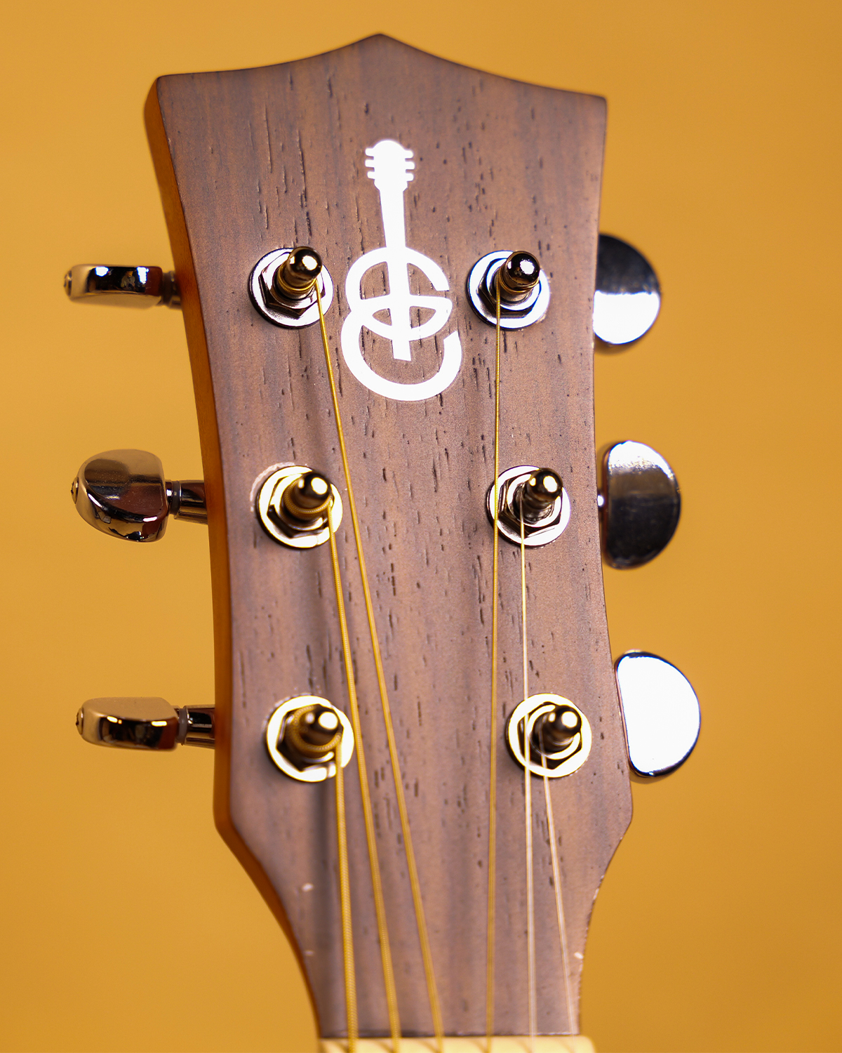 GC Guitars A2 Blue Top Acoustic Guitar