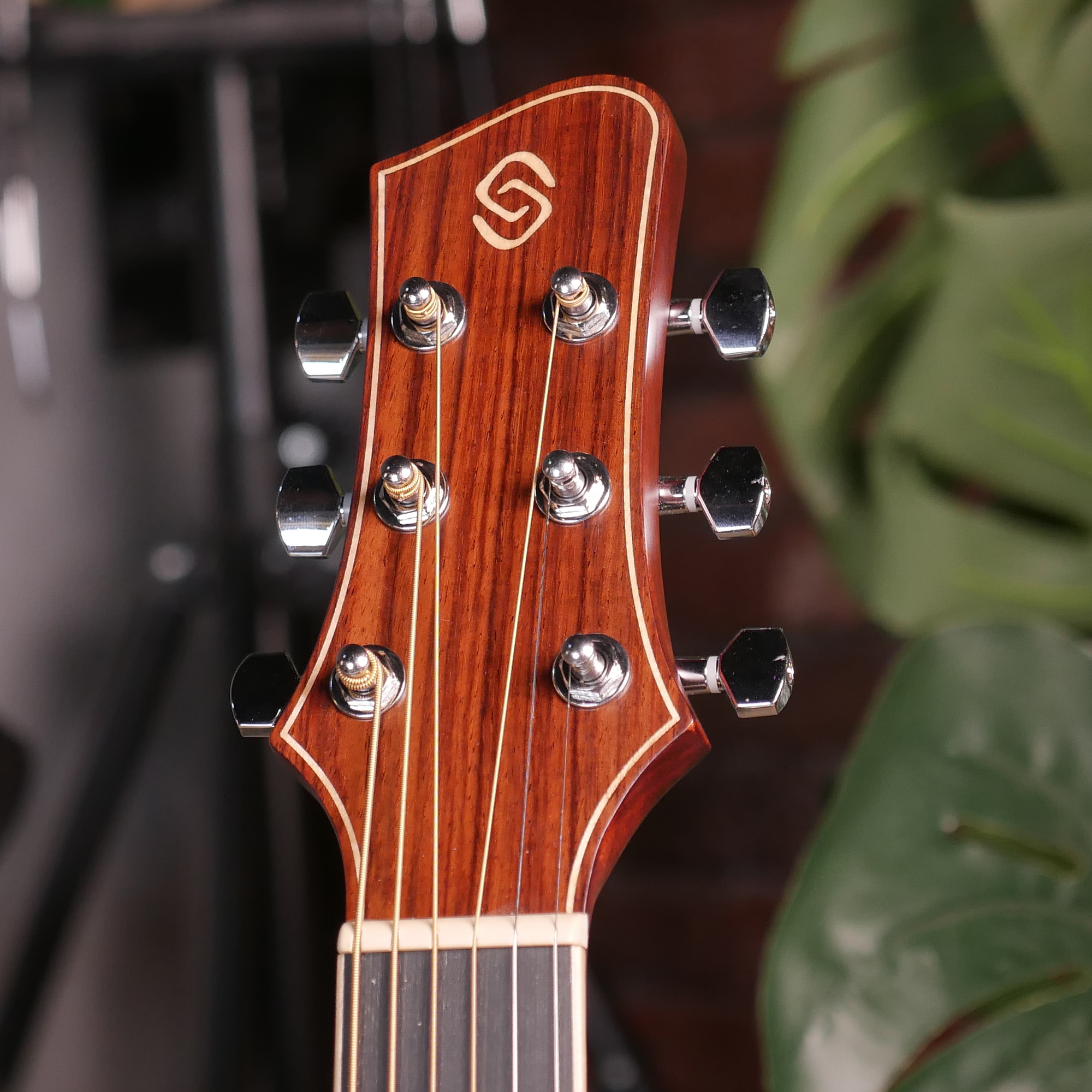 Strydom GS136E Semi-acoustic guitar Wild Honey all Mahogany