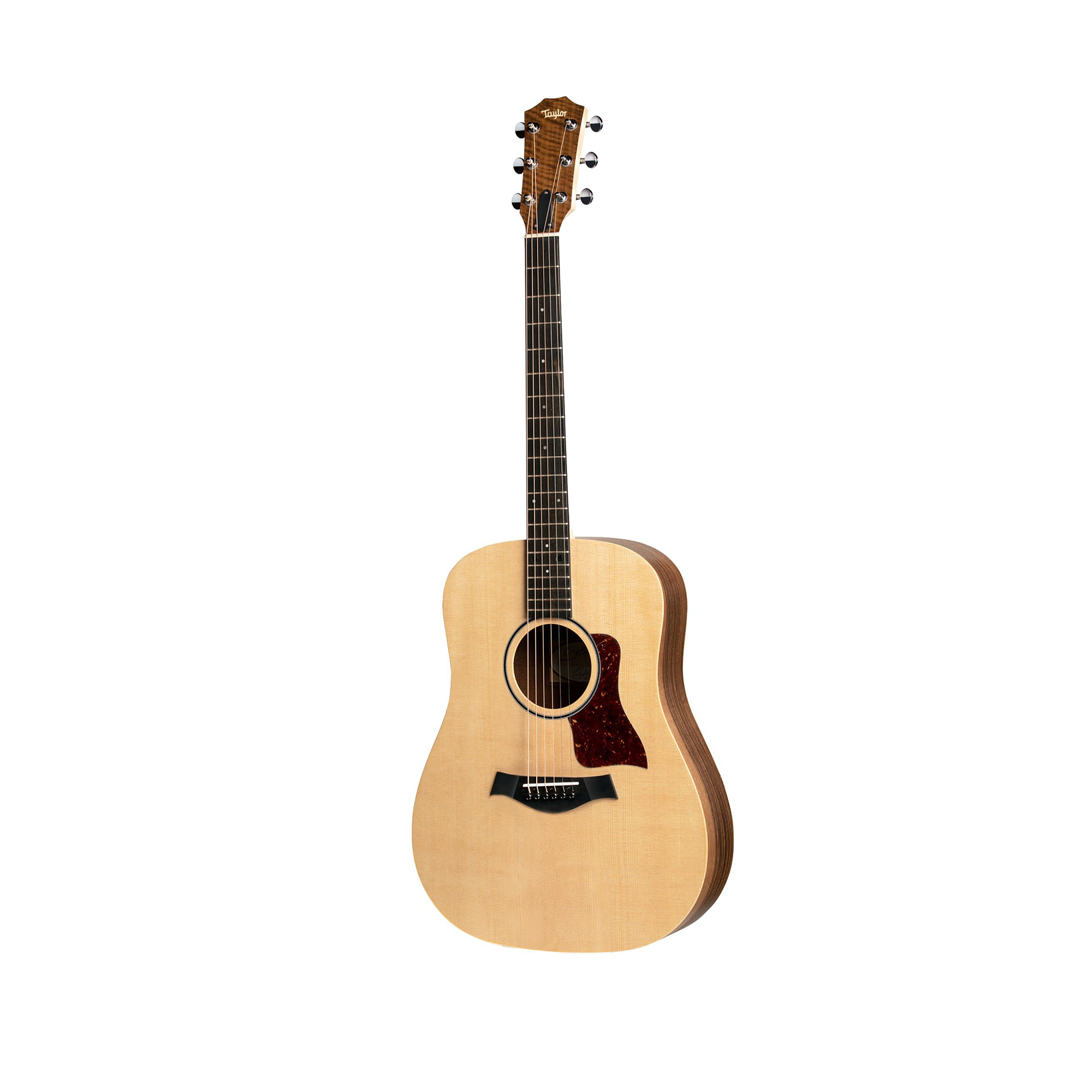 Taylor Big Baby Eq - BBTE