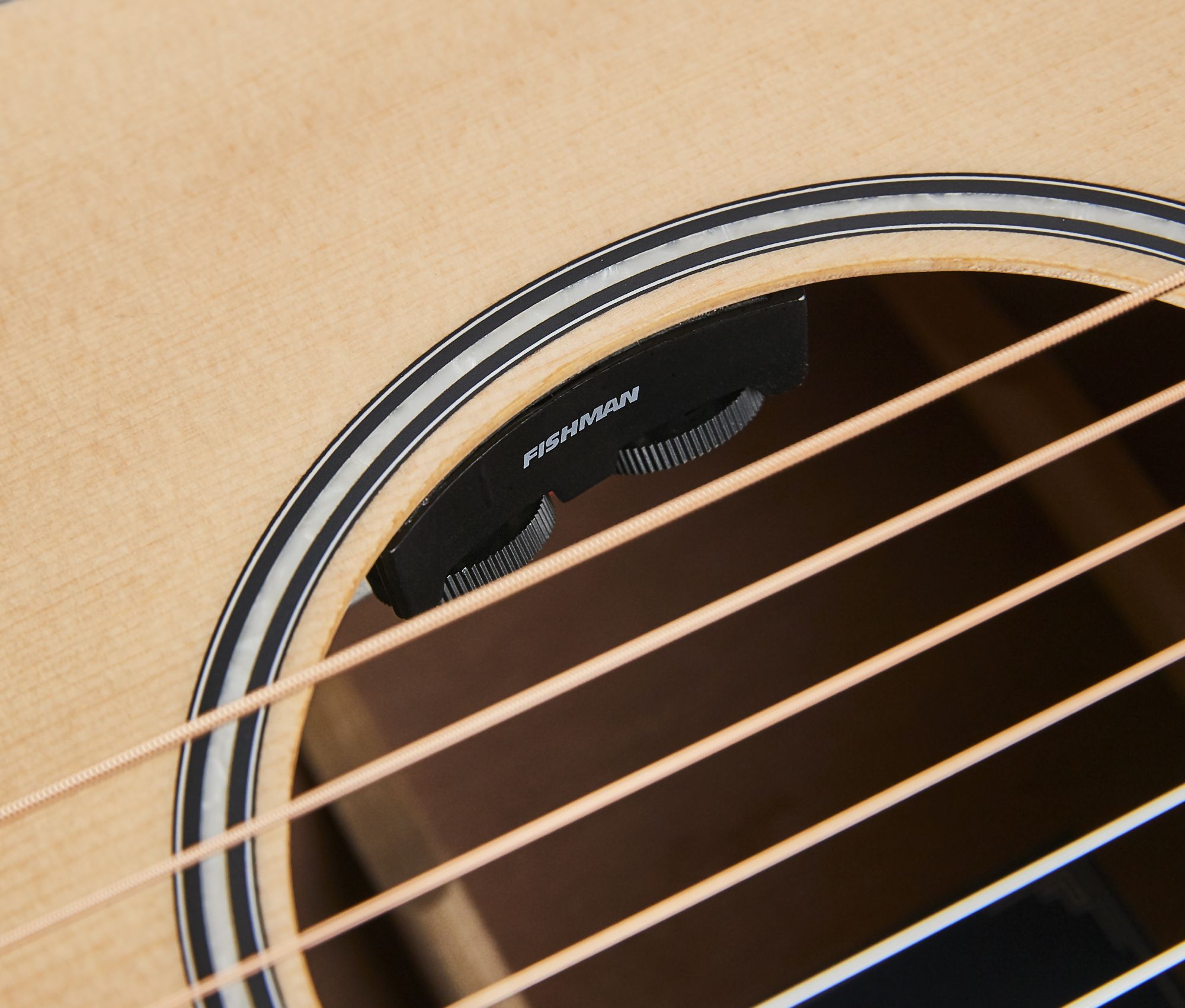 GA450CEG -HORNET SERIES WITH FISHMAN EQ