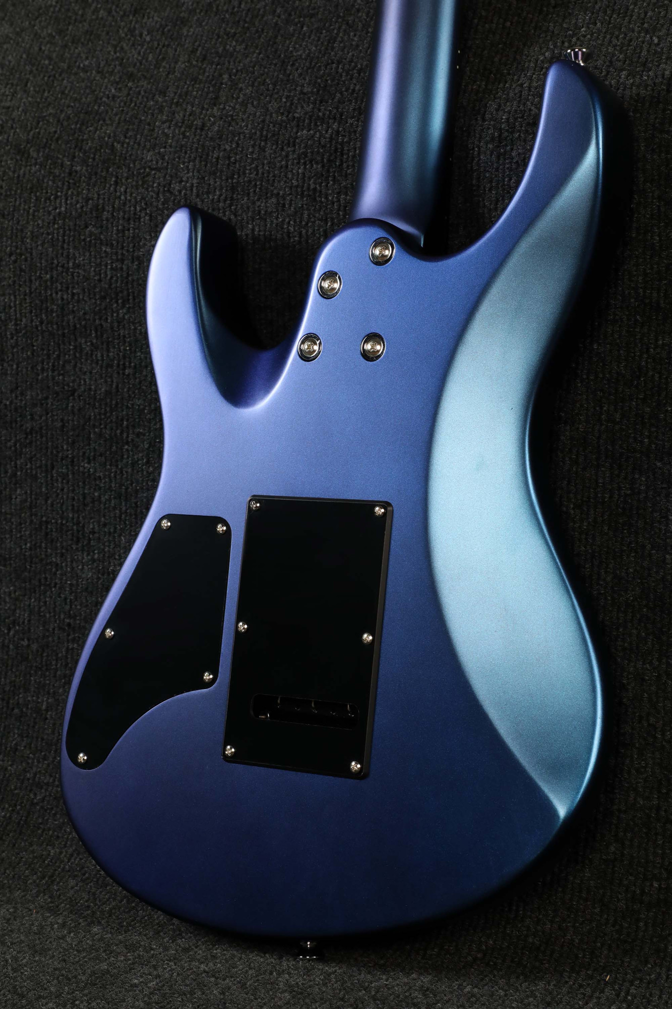 SQOE SEIB500 Chameleon back of body