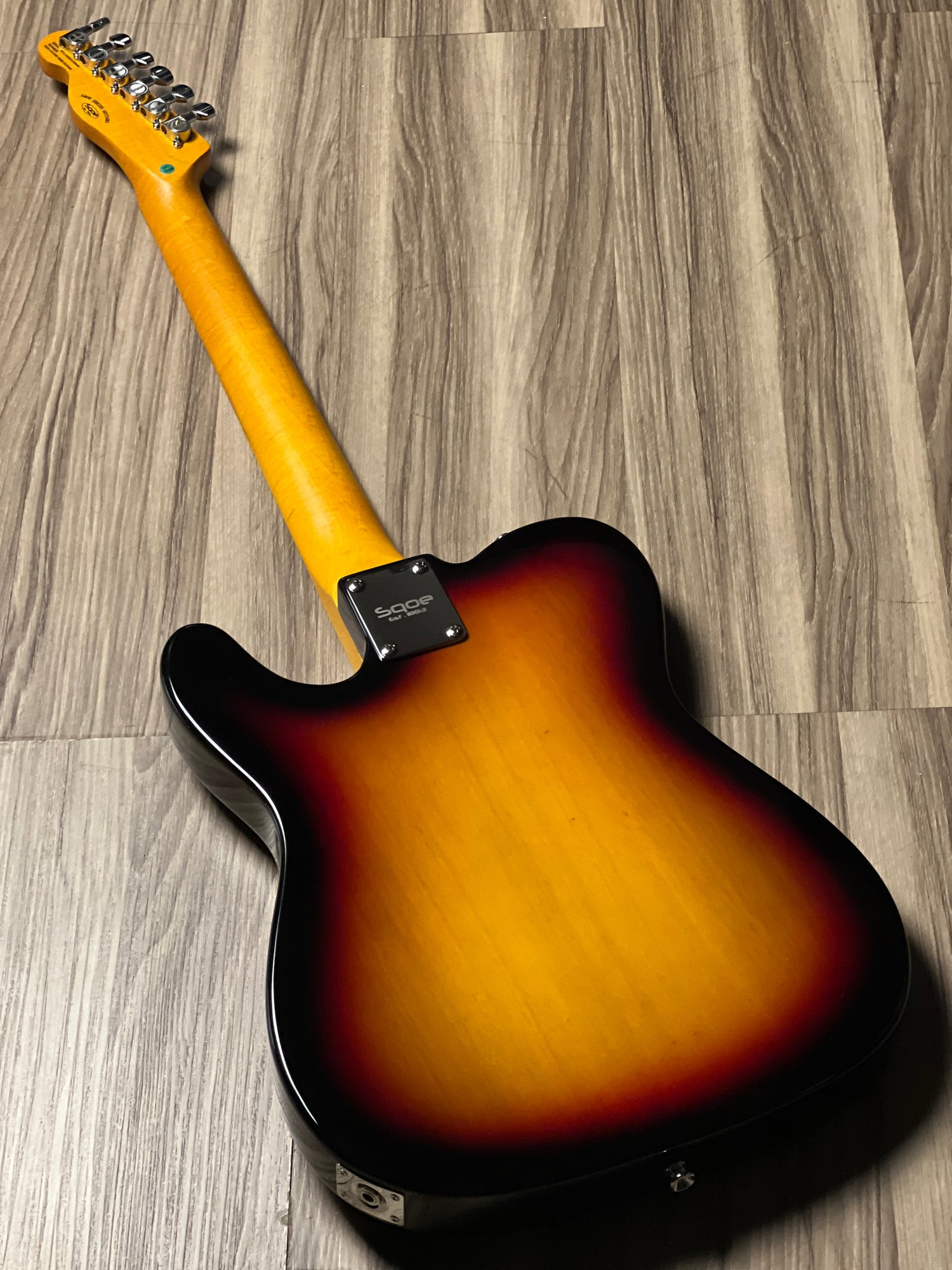 SQOE SETL250 Sunset back of body and neck