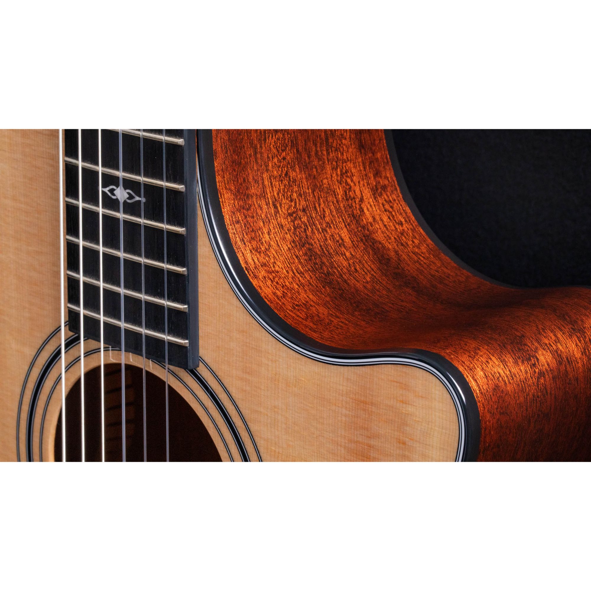 Taylor 314ce-N Nylon Acoustic-electric Guitar - Natural Sitka Spruce