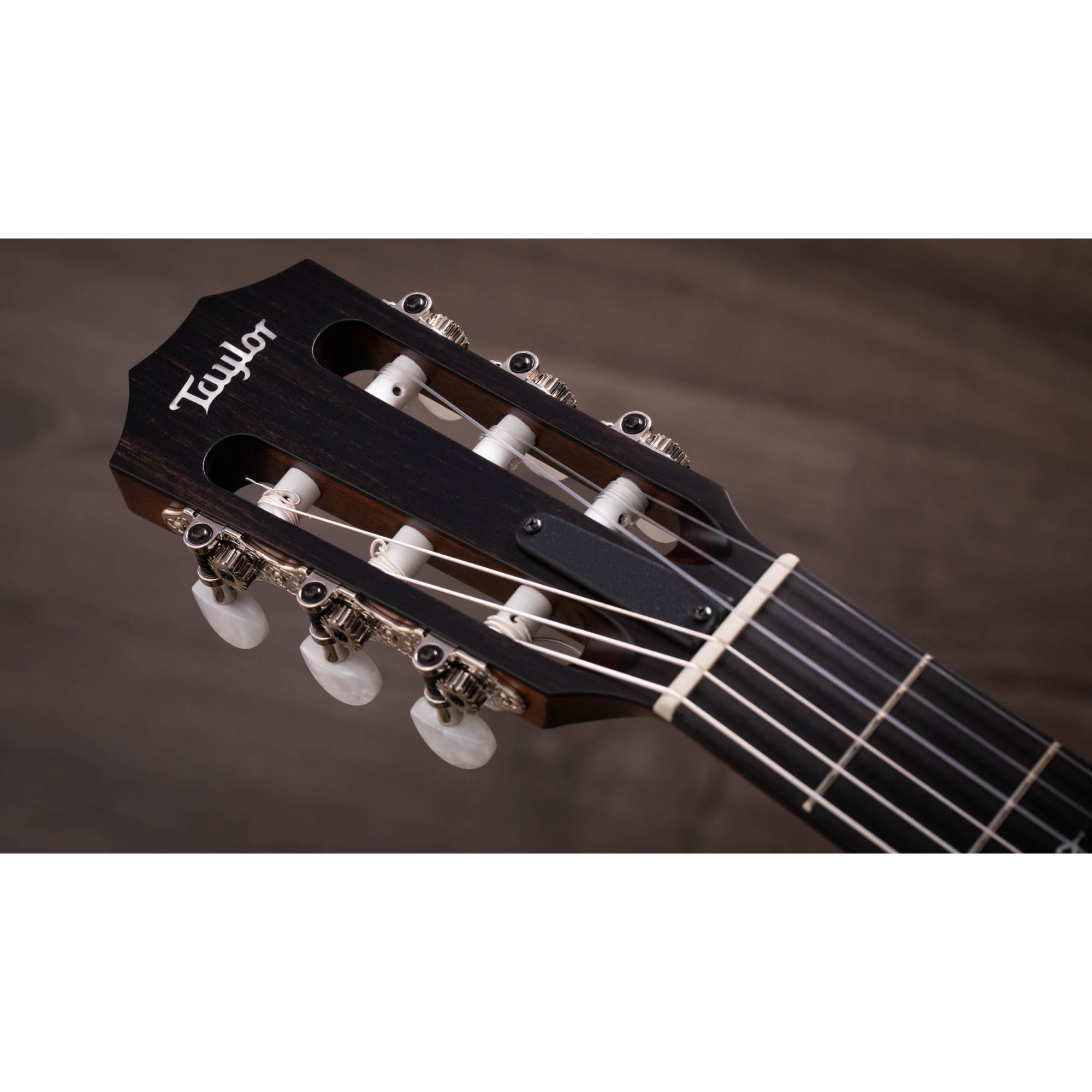 Taylor 314ce-N Nylon Acoustic-electric Guitar - Natural Sitka Spruce