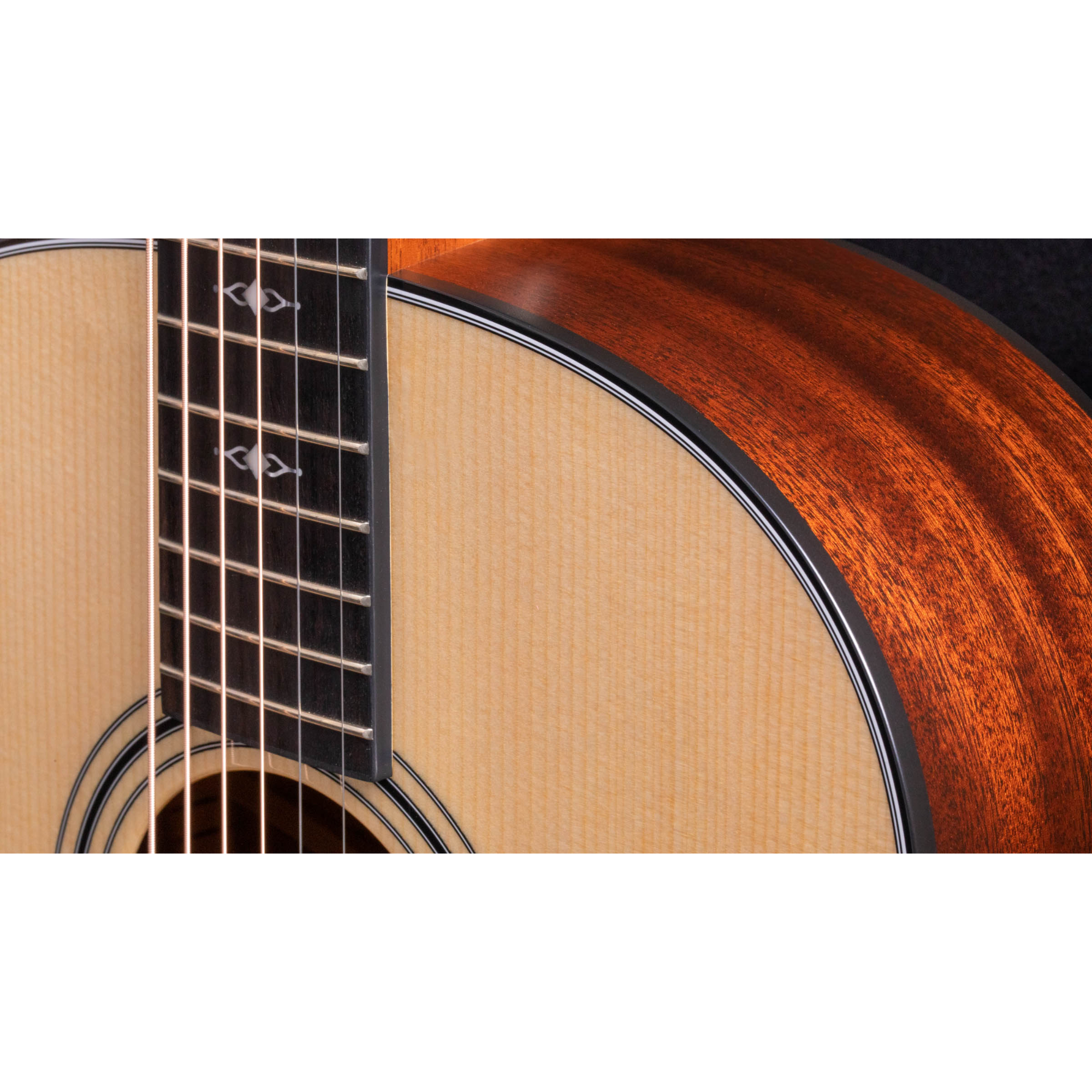 Taylor 317 Grand Pacific V-Class Acoustic Guitar - Natural