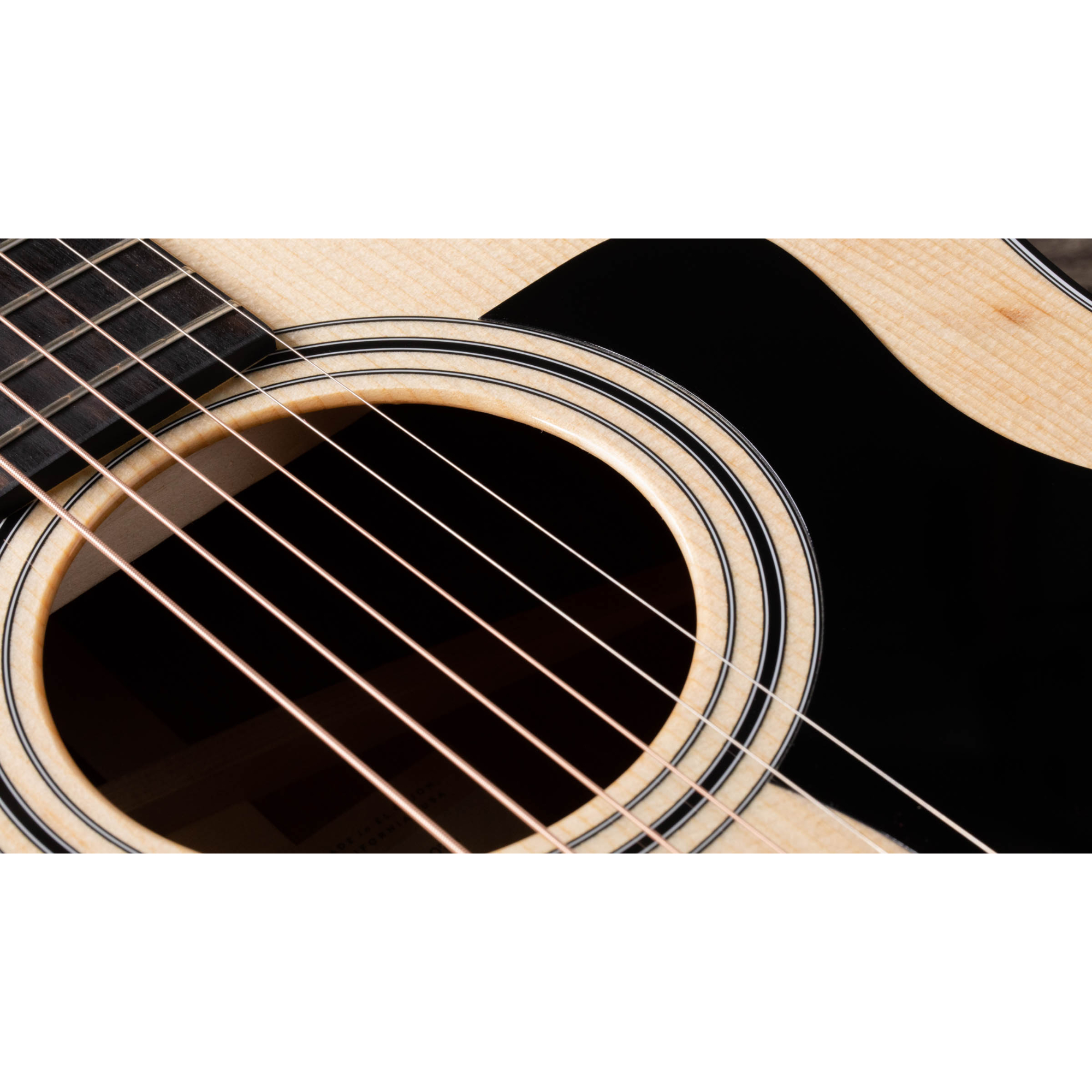 Taylor 317 Grand Pacific V-Class Acoustic Guitar - Natural