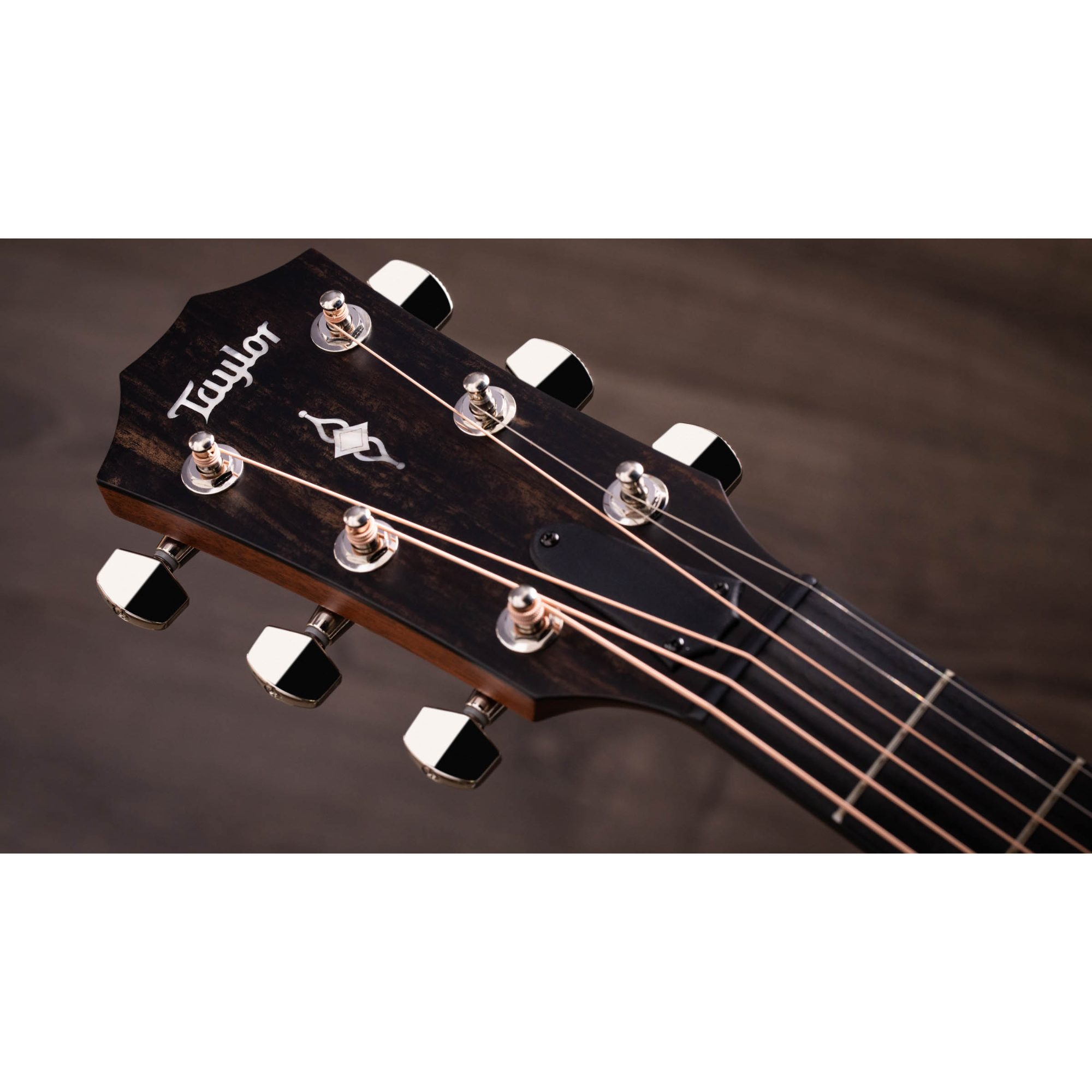 Taylor 317 Grand Pacific V-Class Acoustic Guitar - Natural