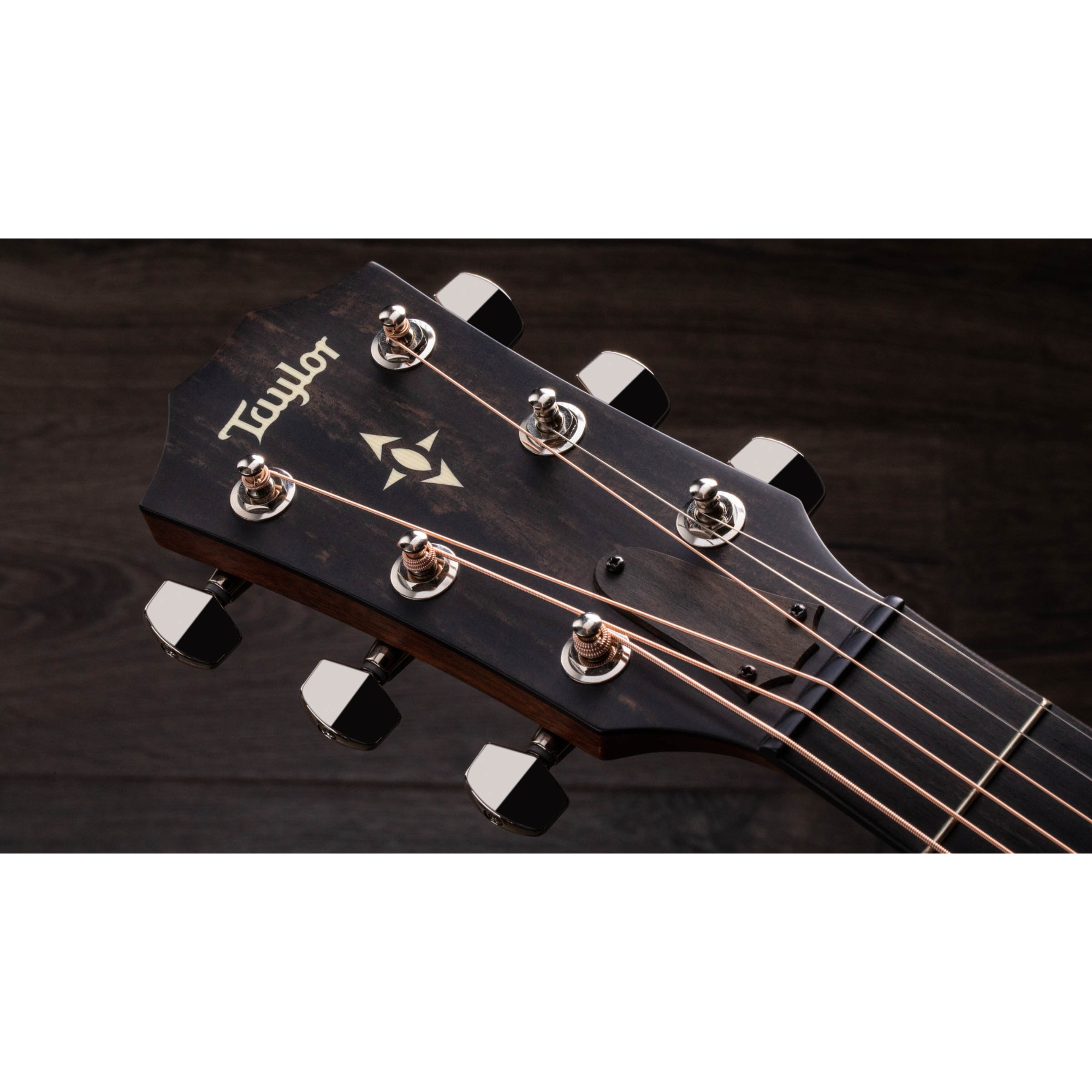 Taylor 517e Grand Pacific Builders Edition V-Class - Natural