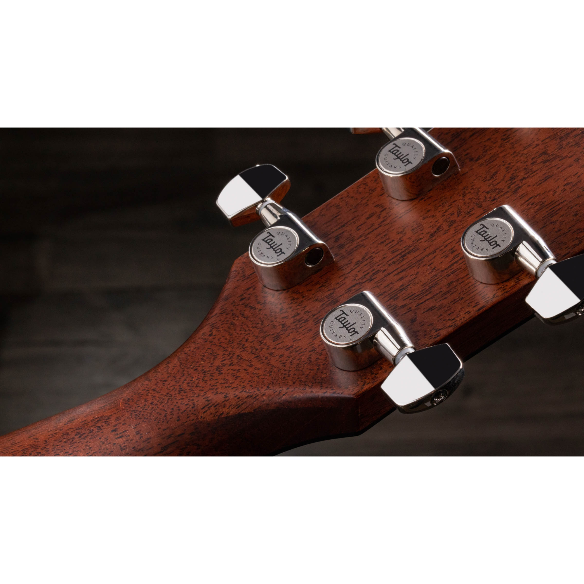 Taylor 517e Grand Pacific Builders Edition V-Class - Natural