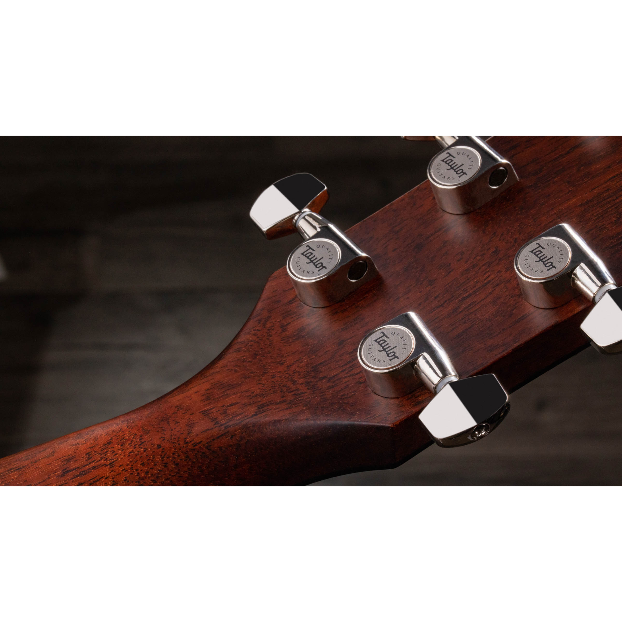 Taylor 517 Grand Pacific Builders Edition V-Class - Wild Honey Burst