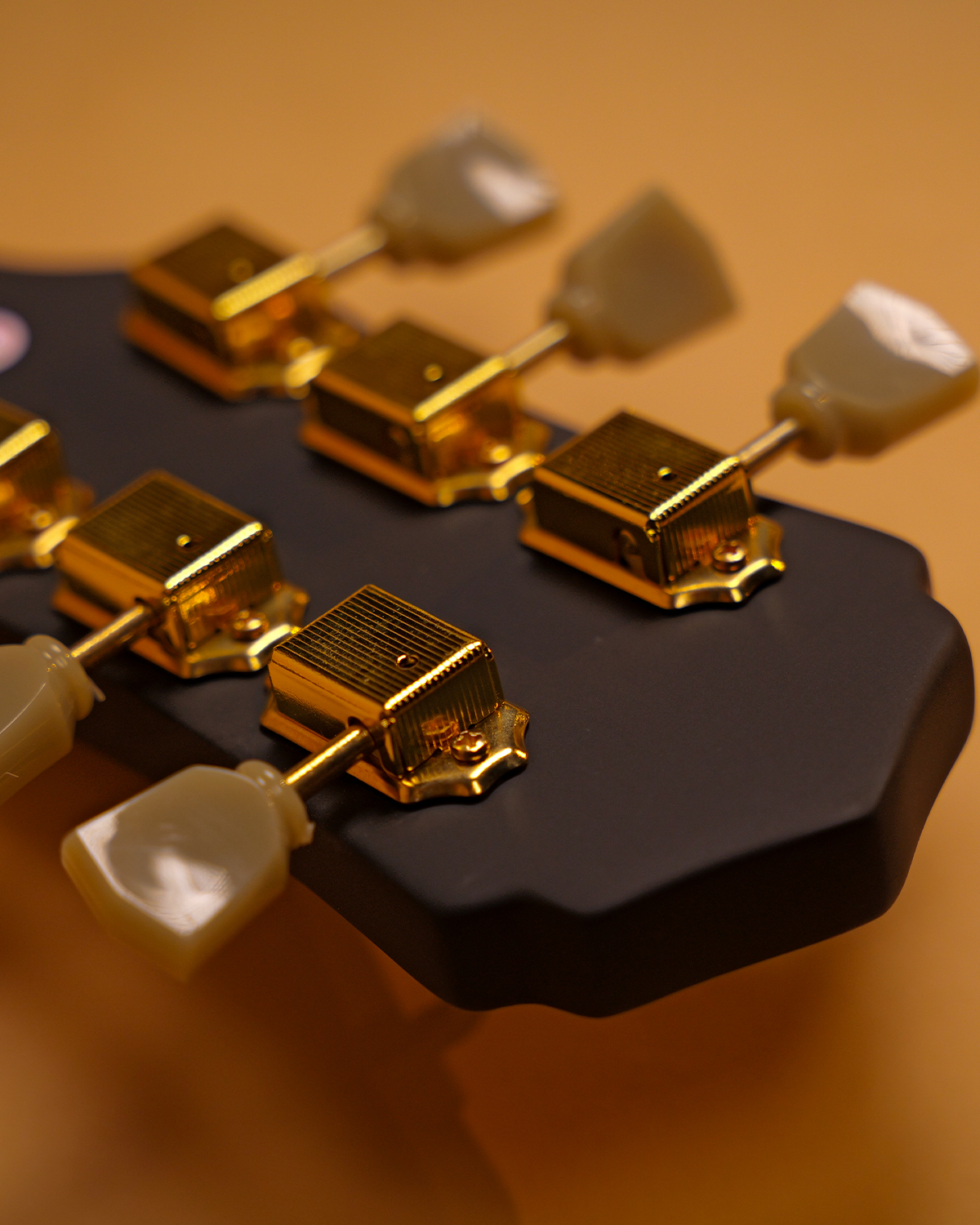 Strydom Fatboy FB30 Carbon Gold  Les Paul Style  Alnico V