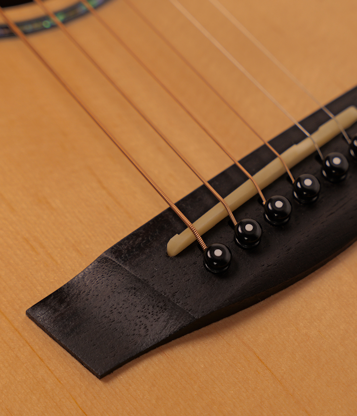 Hex D350CEG WITH FISHMAN SONITONE