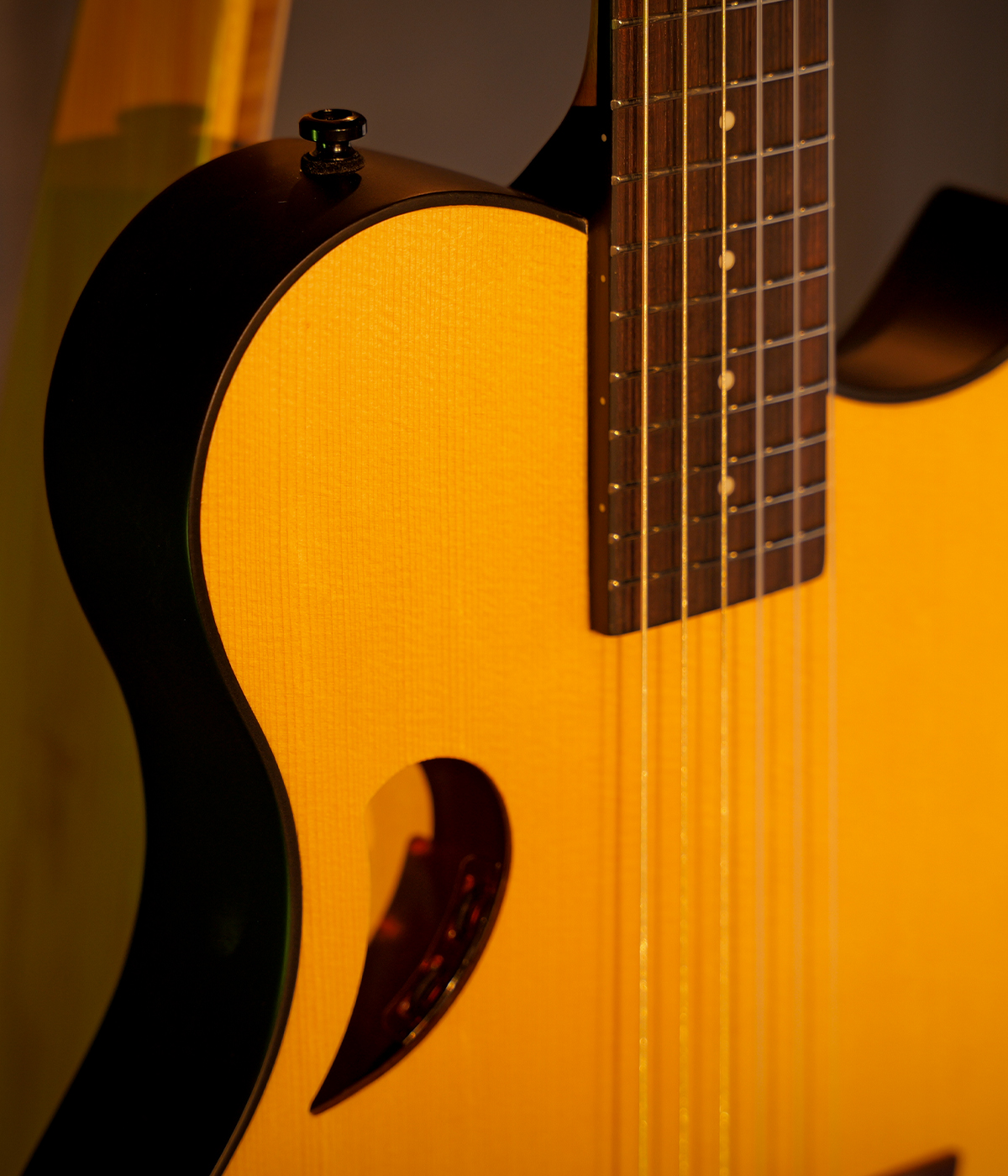 Hex Y500N CLASSICAL GUITAR WITH LR BAGGS ELEMENT BRONZE EQ