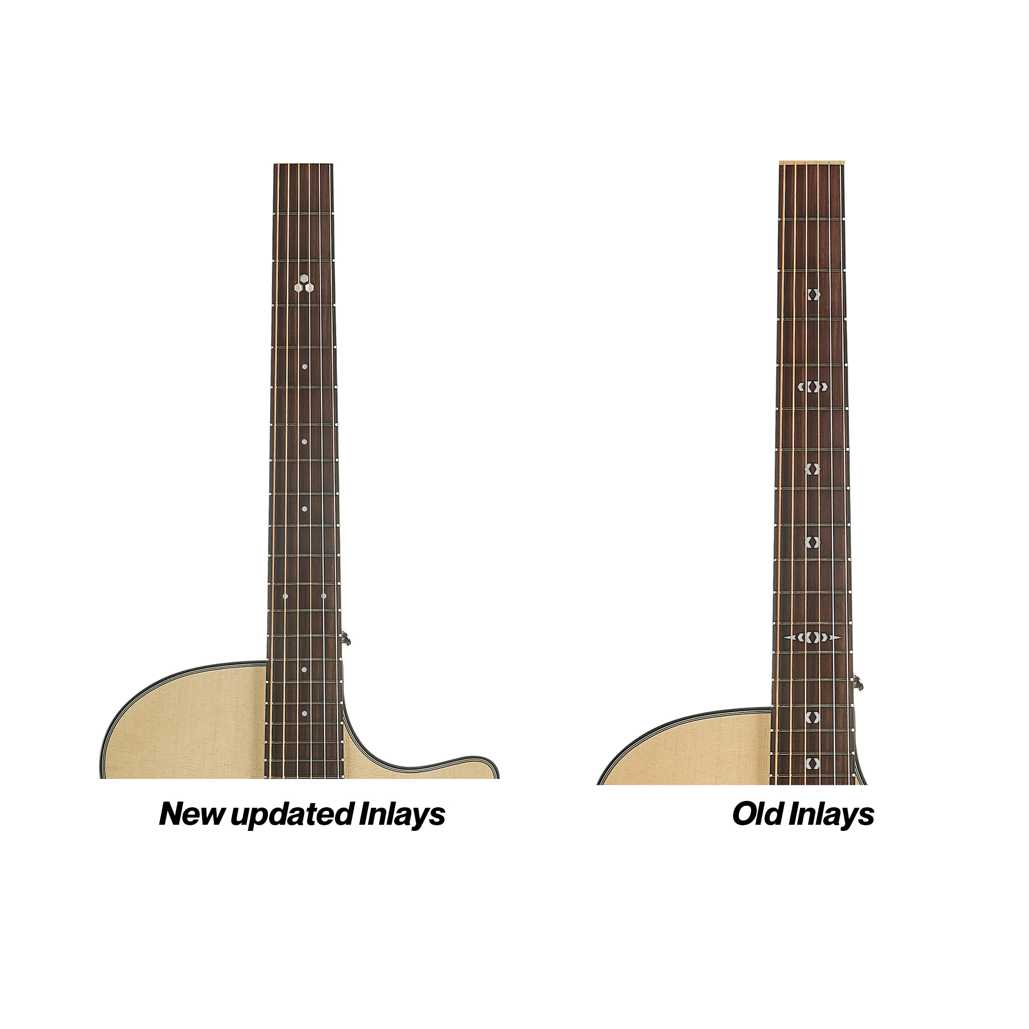 GA400CEG -HORNET SERIES WITH FISHMAN SONITONE