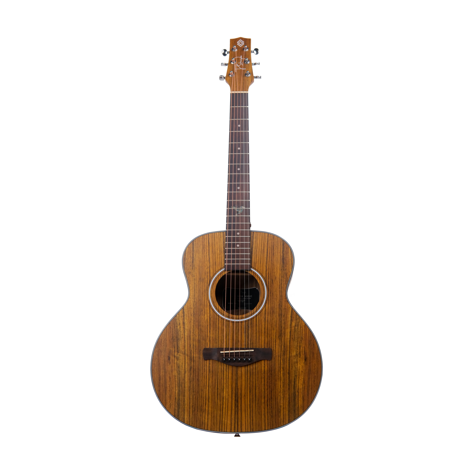 Strydom Voyager V436 NM - Travel guitar