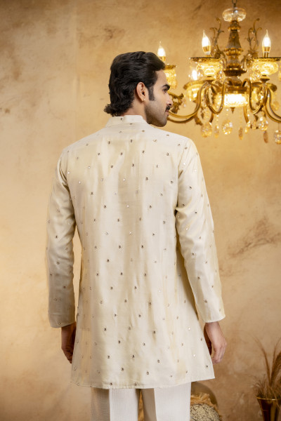 Sequin Mirror Short Kurta In Cosmo Silk