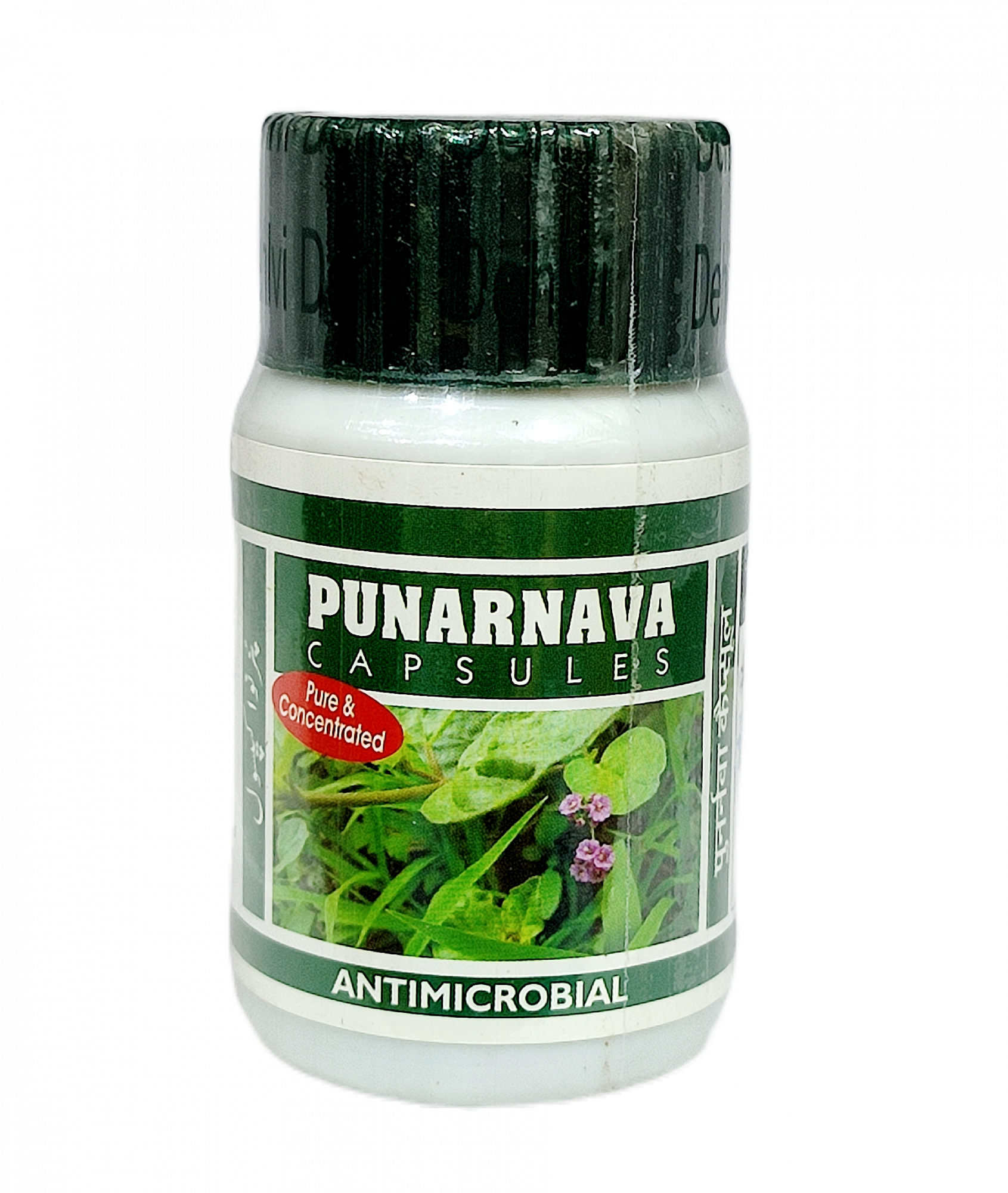 Punarnava Capsules Dehlvi 60caps