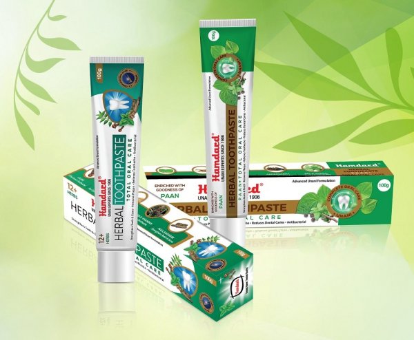 Toothpaste Hd Herbal Toothpaste Hamdard (100g)