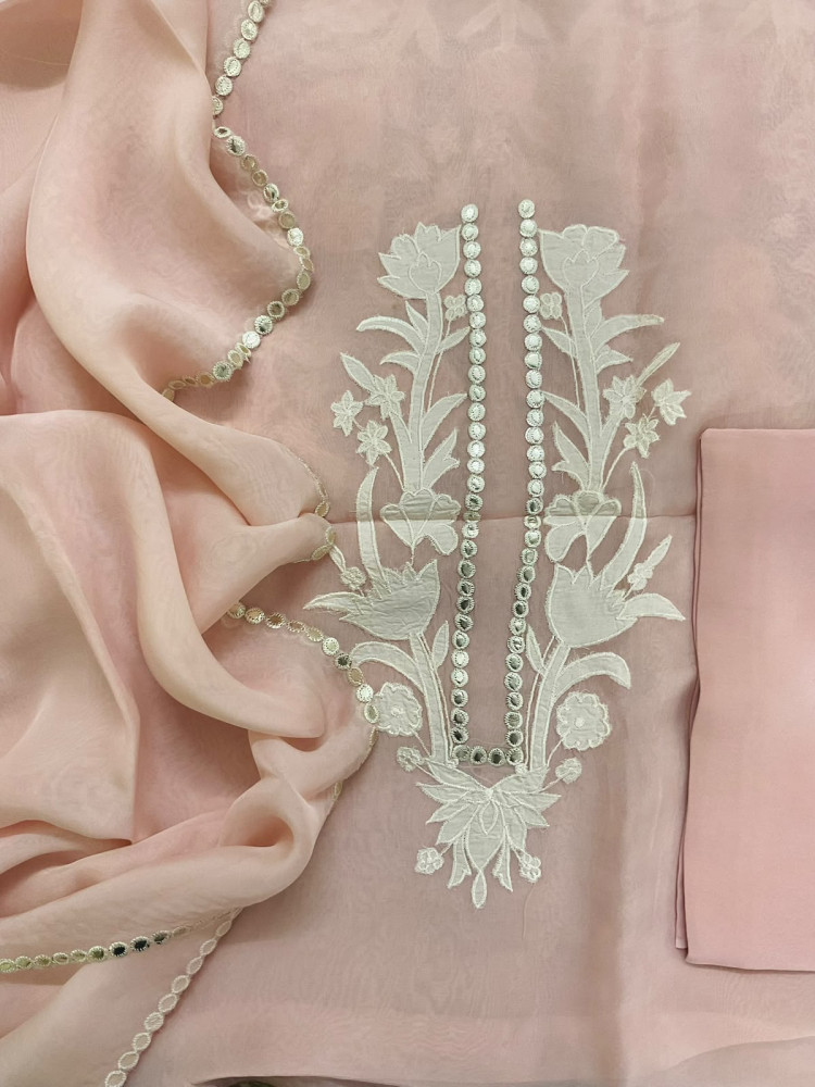 Image of Pure Organza Embroidered Suit - Peach