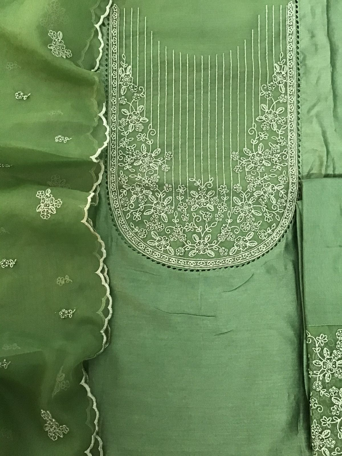 Pure Chanderi Embroidered Suit - Green