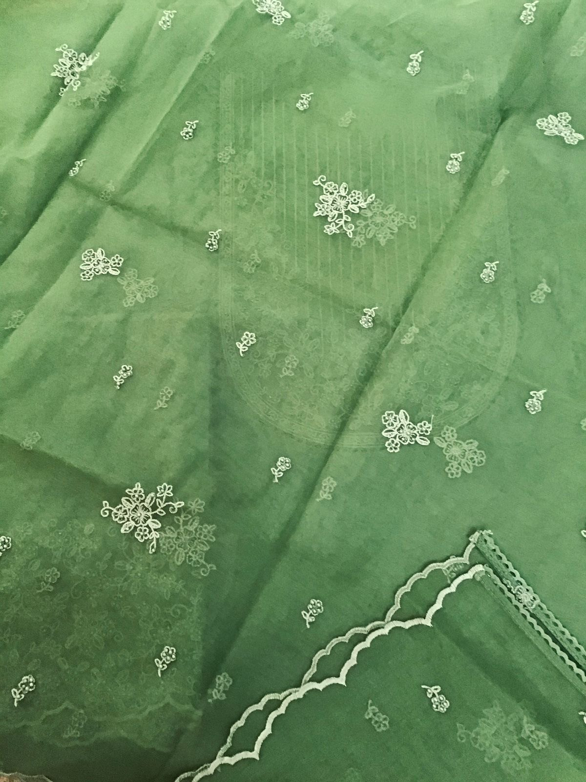 Pure Chanderi Embroidered Suit - Green
