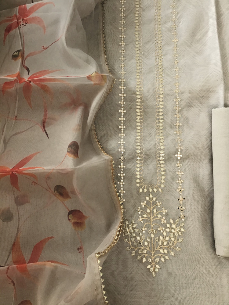 Image of Soft Organza Printed Embroidered Suit - Beige
