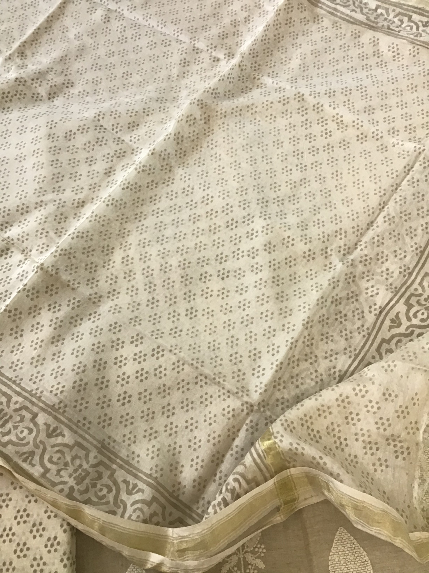 Soft Slub Chanderi Embroidered Suit - Beige