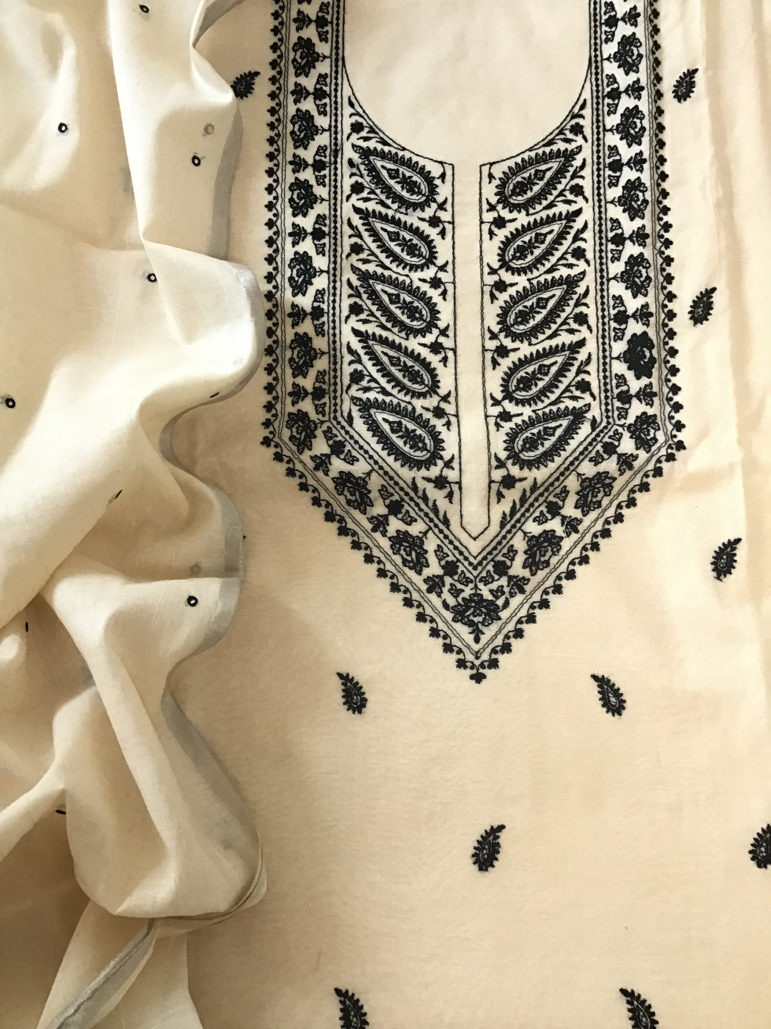 Pure Chanderi Embroidered Suit - Beige