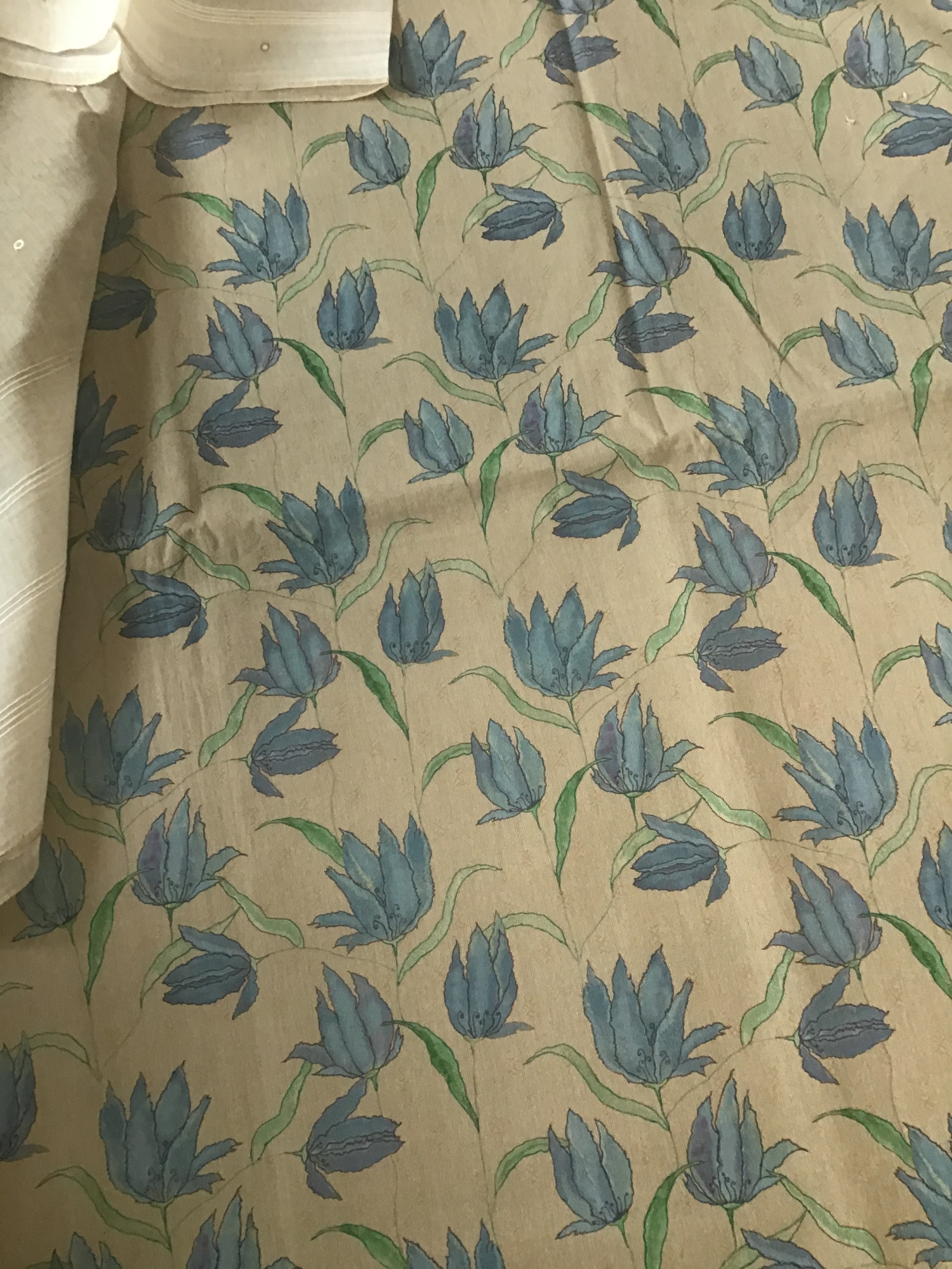 Pure Fine Cotton Printed Embroidered Suit - Beige