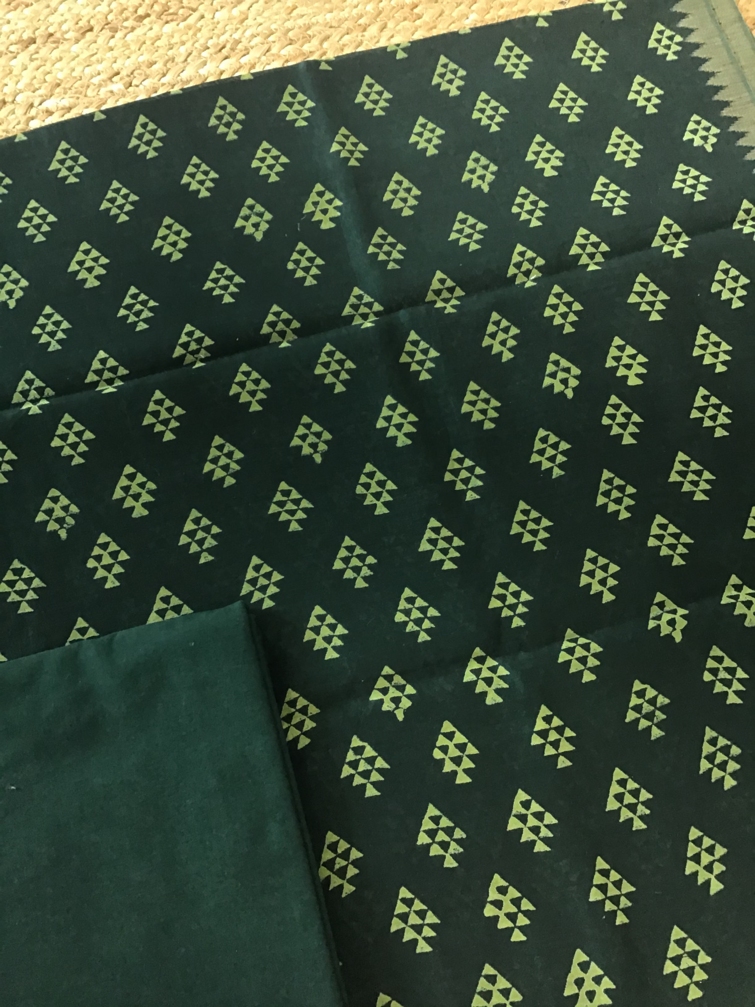 Pure Chanderi Printed Suit - Green