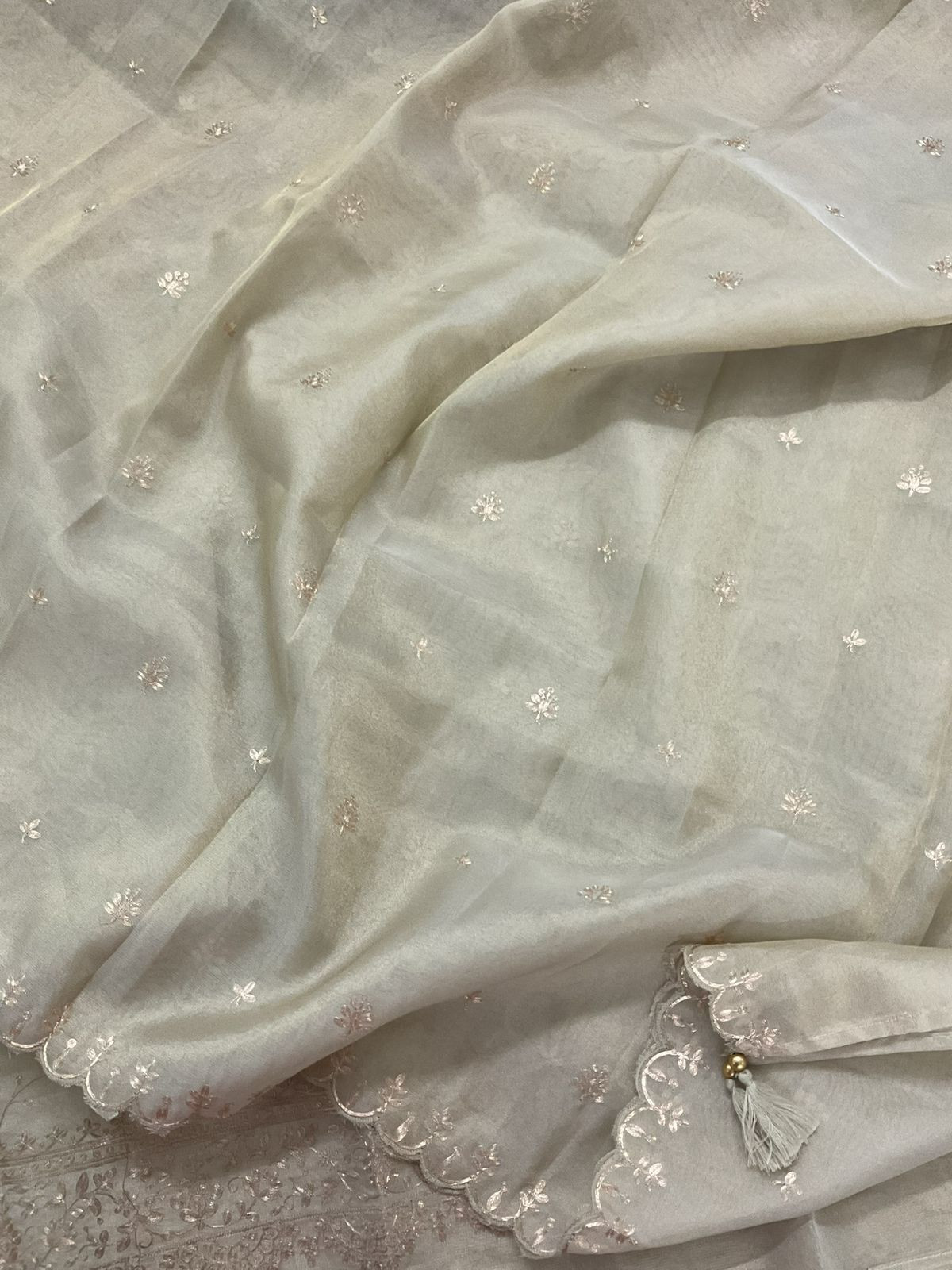 Soft Tissue Shimmer Silk Embroidered Suit - Beige