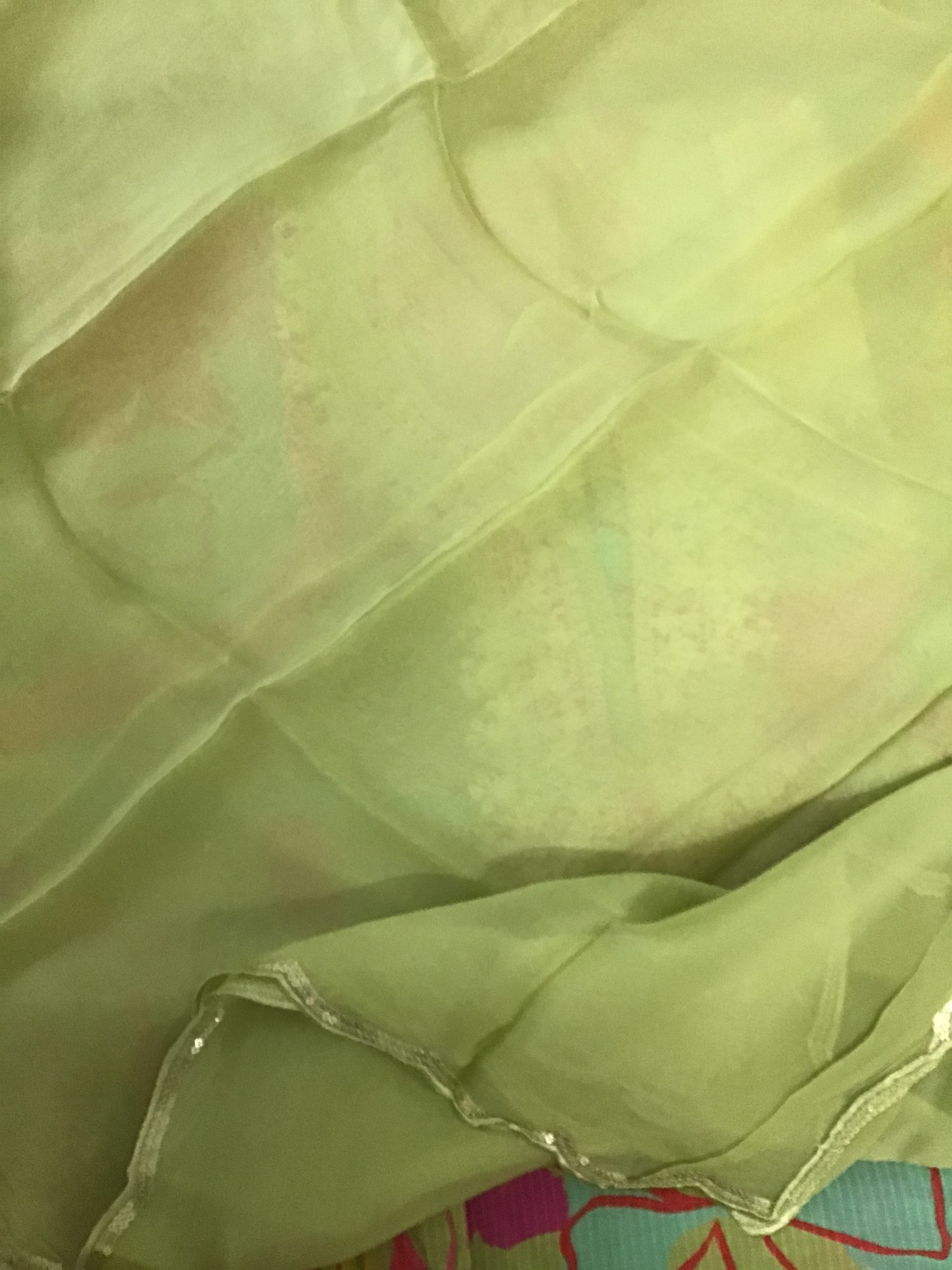 Pure Muslin Silk Printed Embroidered Suit - Green