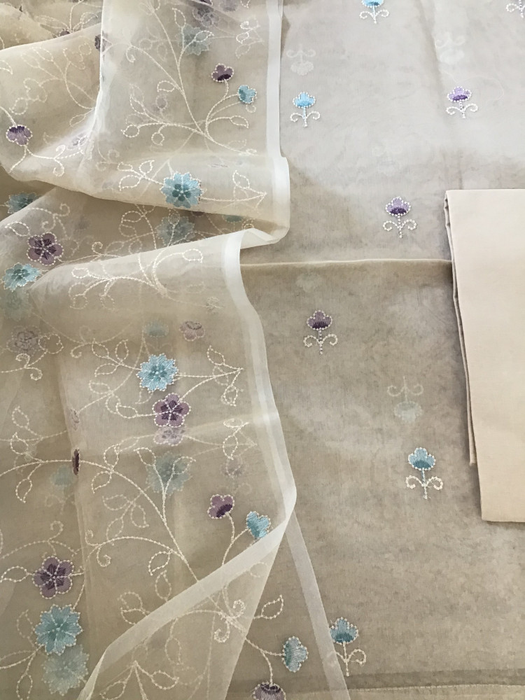 Image of Soft Semi Organza Embroidered Suit - Beige