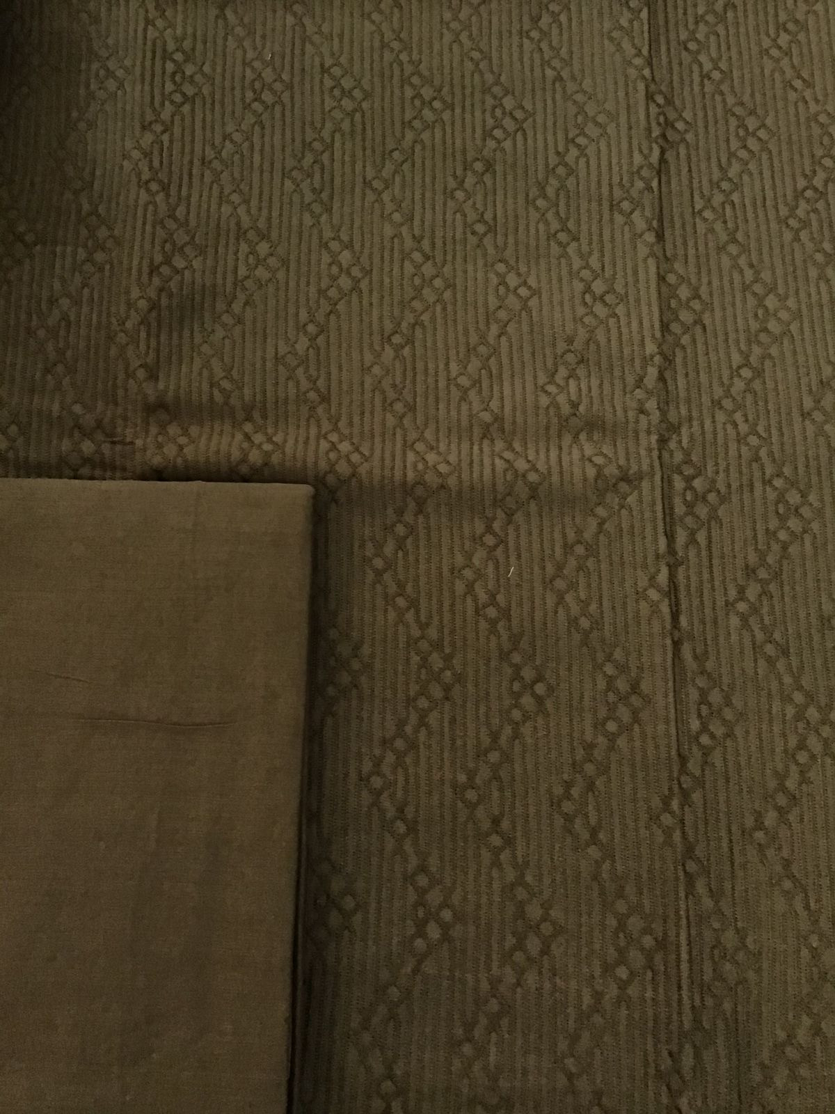 Pure Linen Chanderi Silk Embroidered Suit - Green