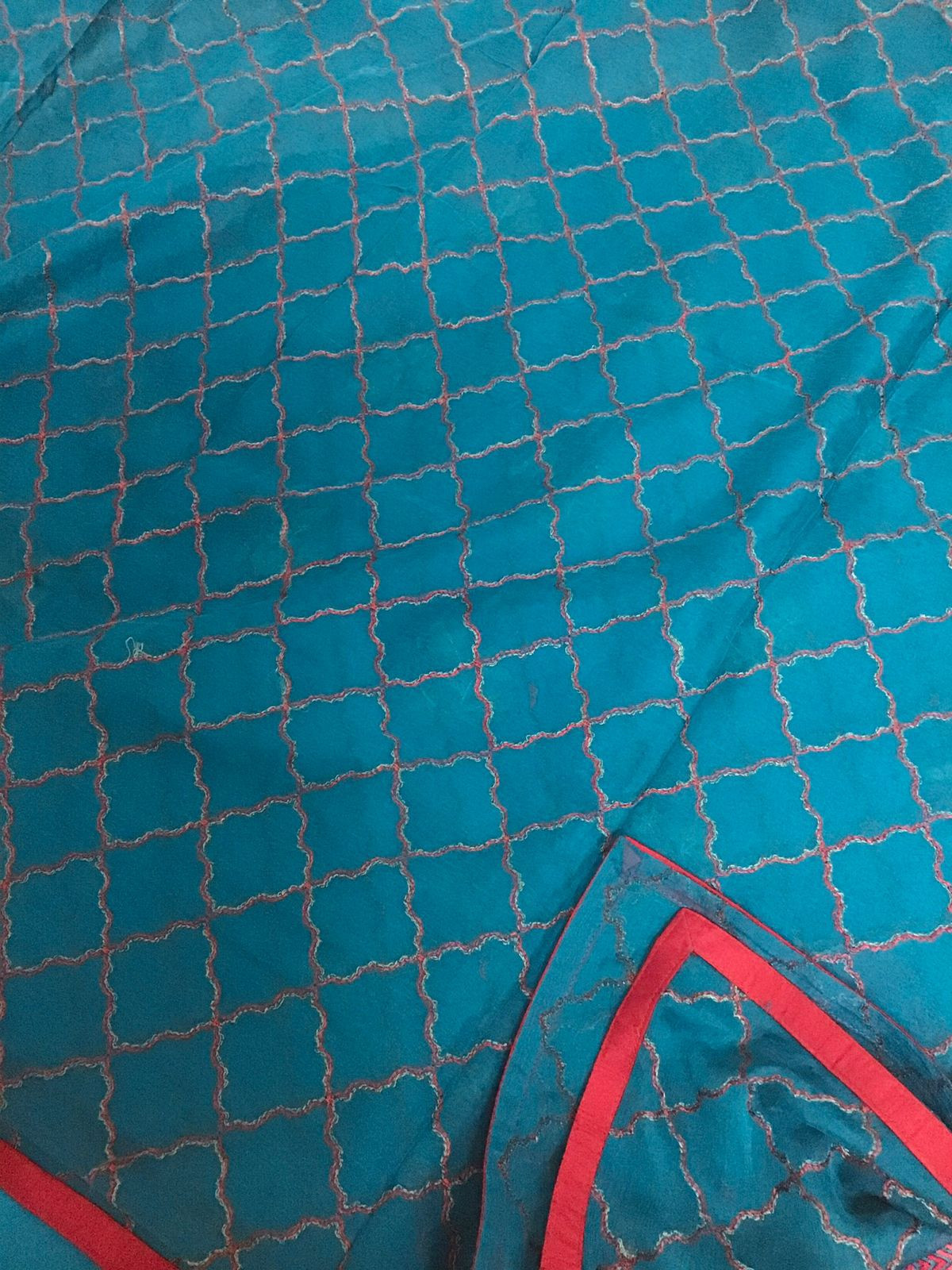 Pure Fine Tussar Embroidered Suit - Blue