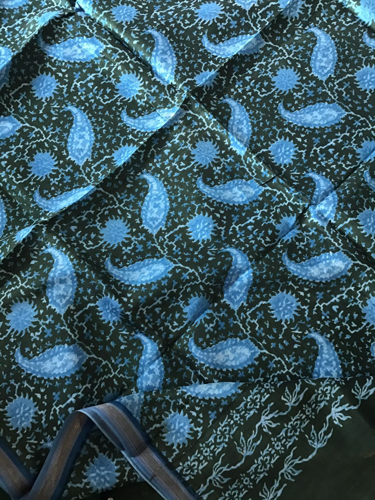 Pure Maheshwari Silk Printed Banarasi Weaved - Green