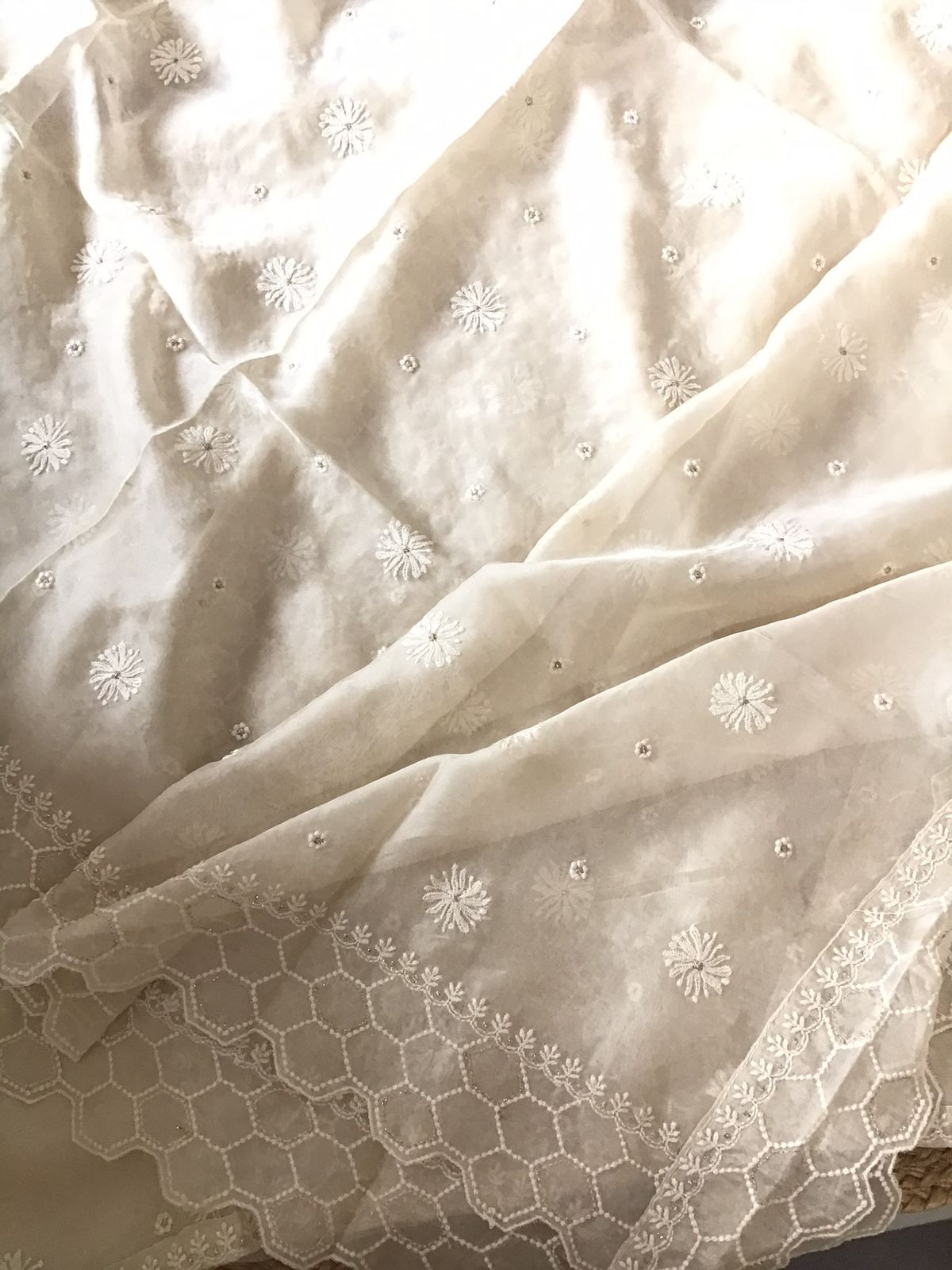 Soft Fine Organza Embroidered Suit - Cream